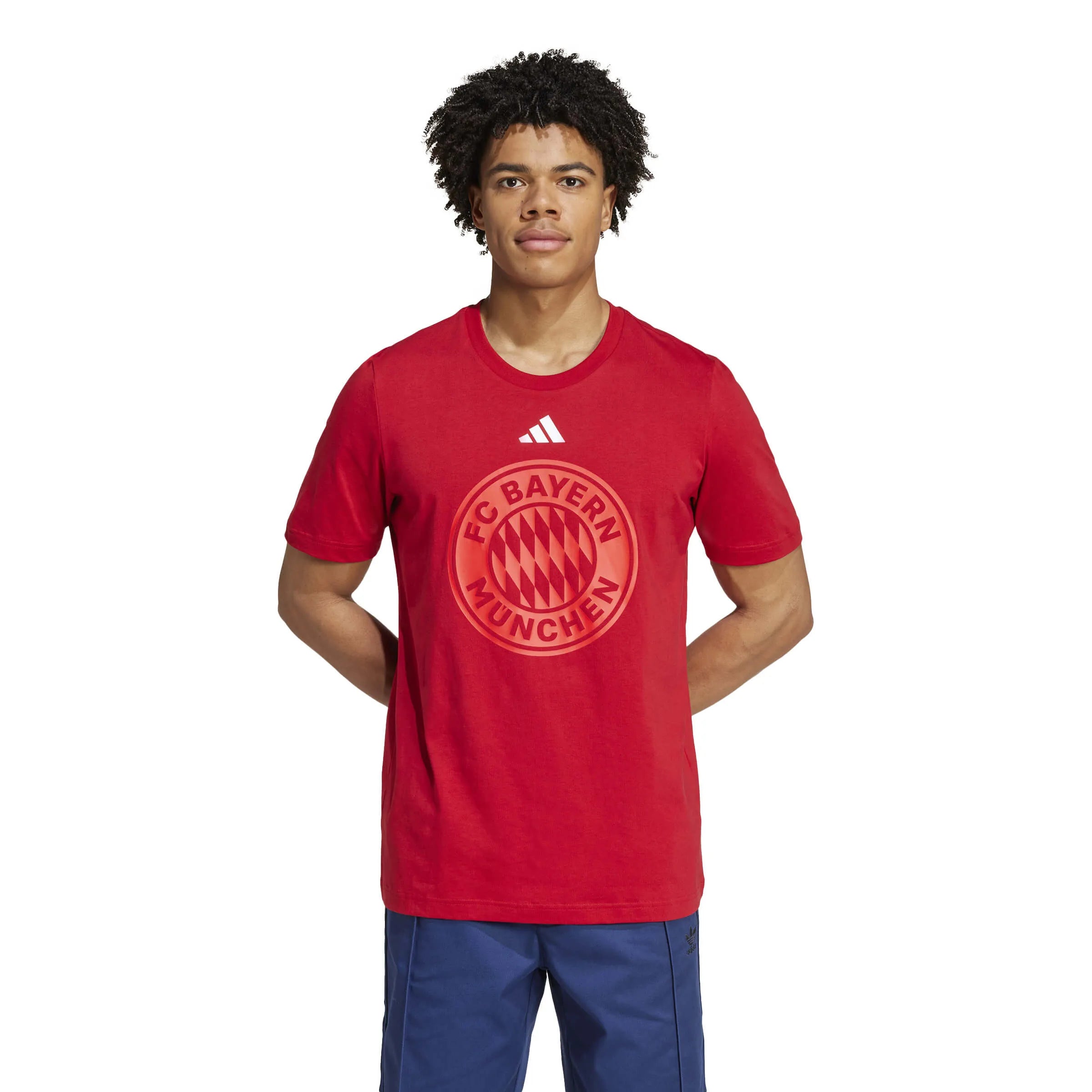 adidas 2024-25 Bayern Munich Men's DNA Graphic Tee (Model - Front)