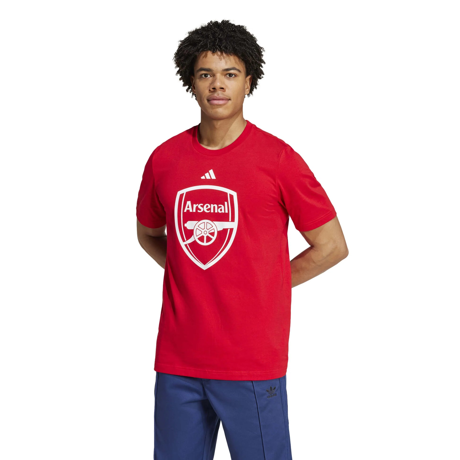 adidas 2024-25 Arsenal Men's DNA Graphic Tee (Model - Front)