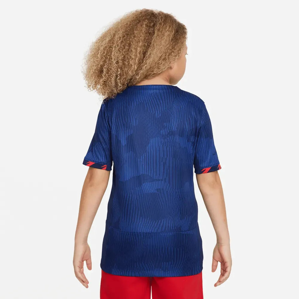 Nike 2023-24 USA Youth 4-Star Away Jersey (Model - Back)