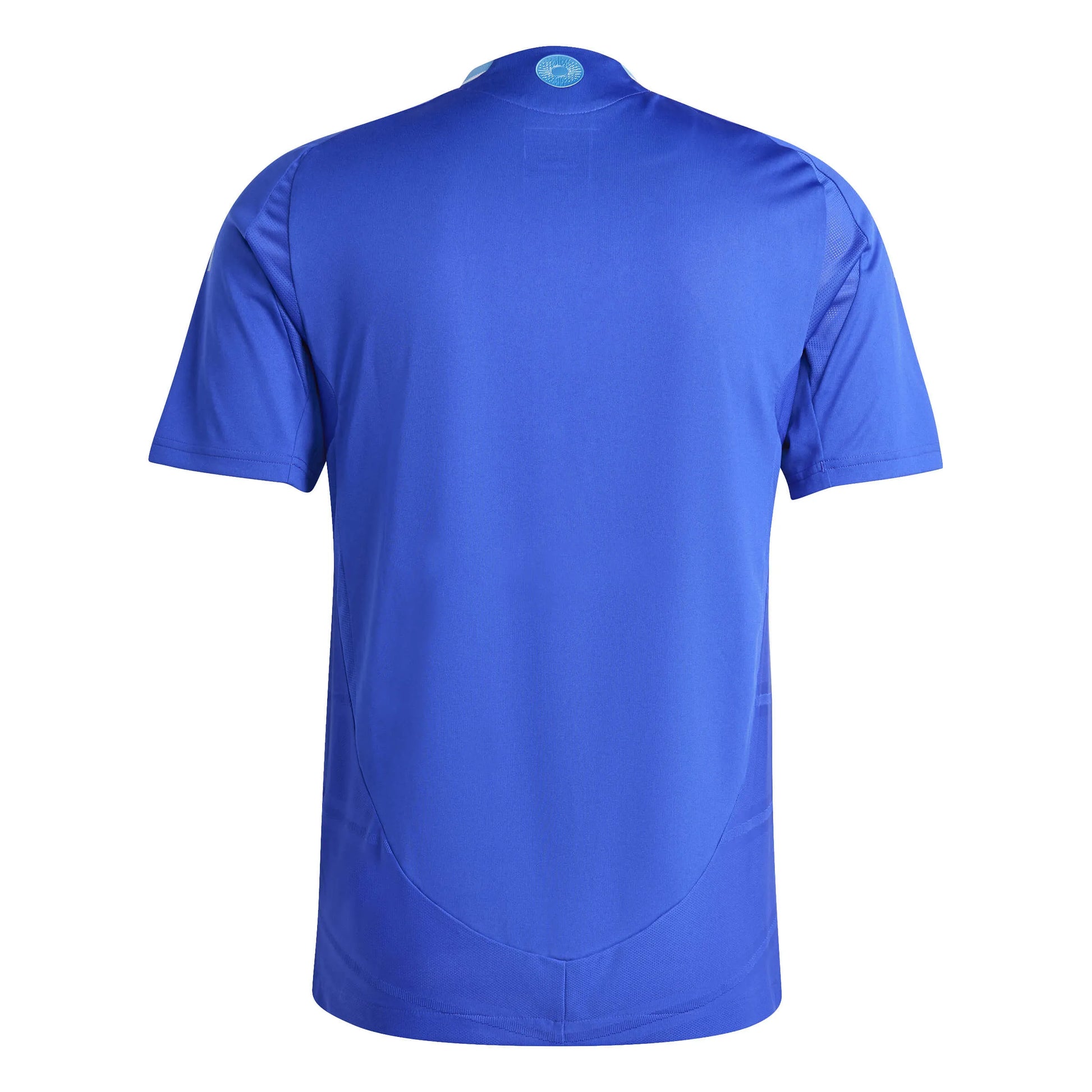 adidas 2024-25 Argentina Men's Authentic Away Jersey (Back)