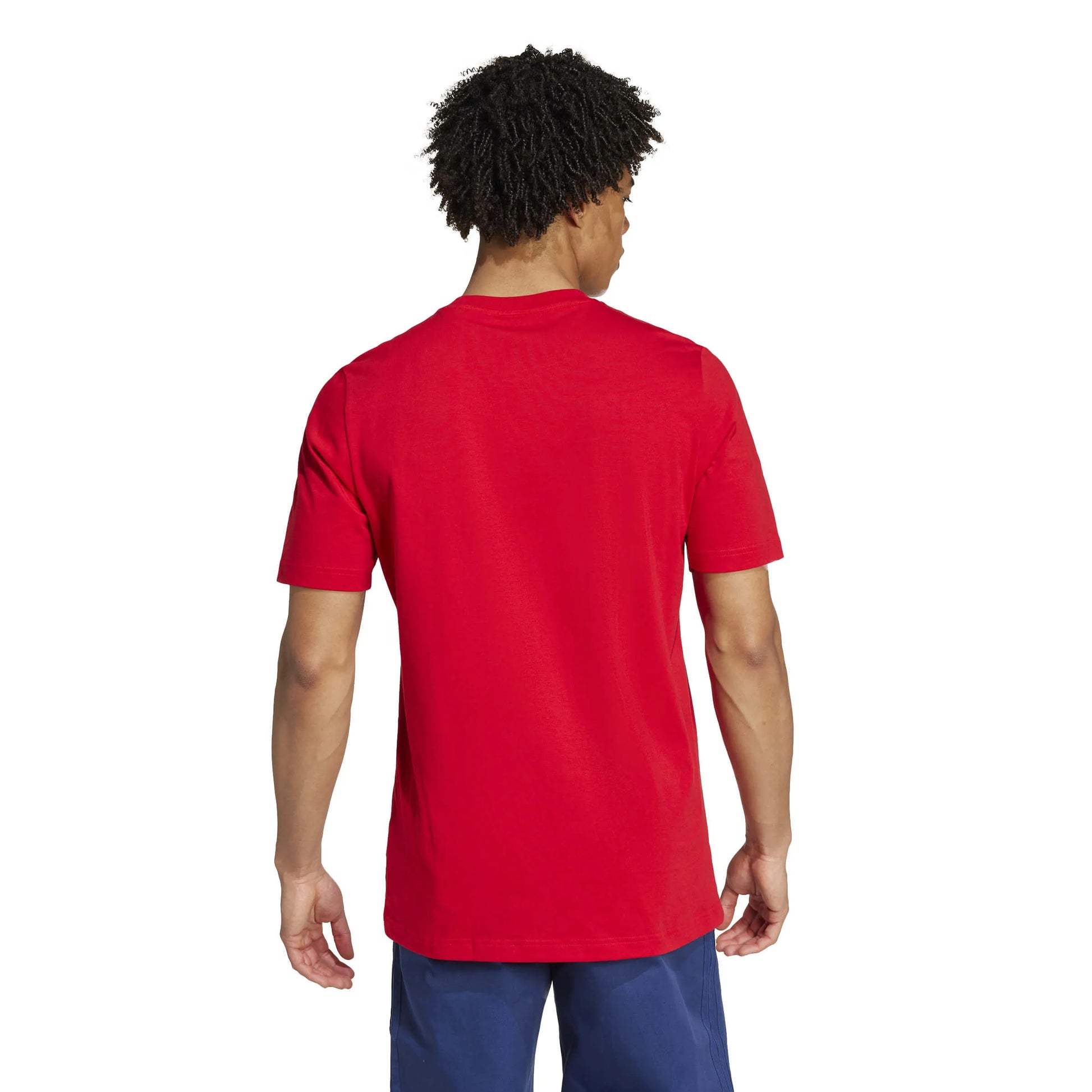 adidas 2024-25 Arsenal Men's DNA Graphic Tee (Model - Back)