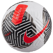 Nike FA23 Flight Match Ball (Front)