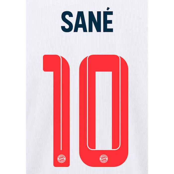 Bayern Munich 2021/22 Third Sane #10 Jersey Name Set (Main)