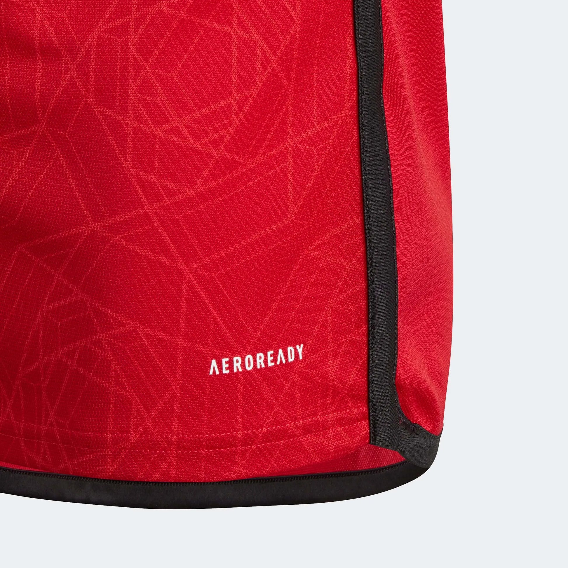 adidas 2023-24 Manchester United Youth Home Jersey (Detail 3)