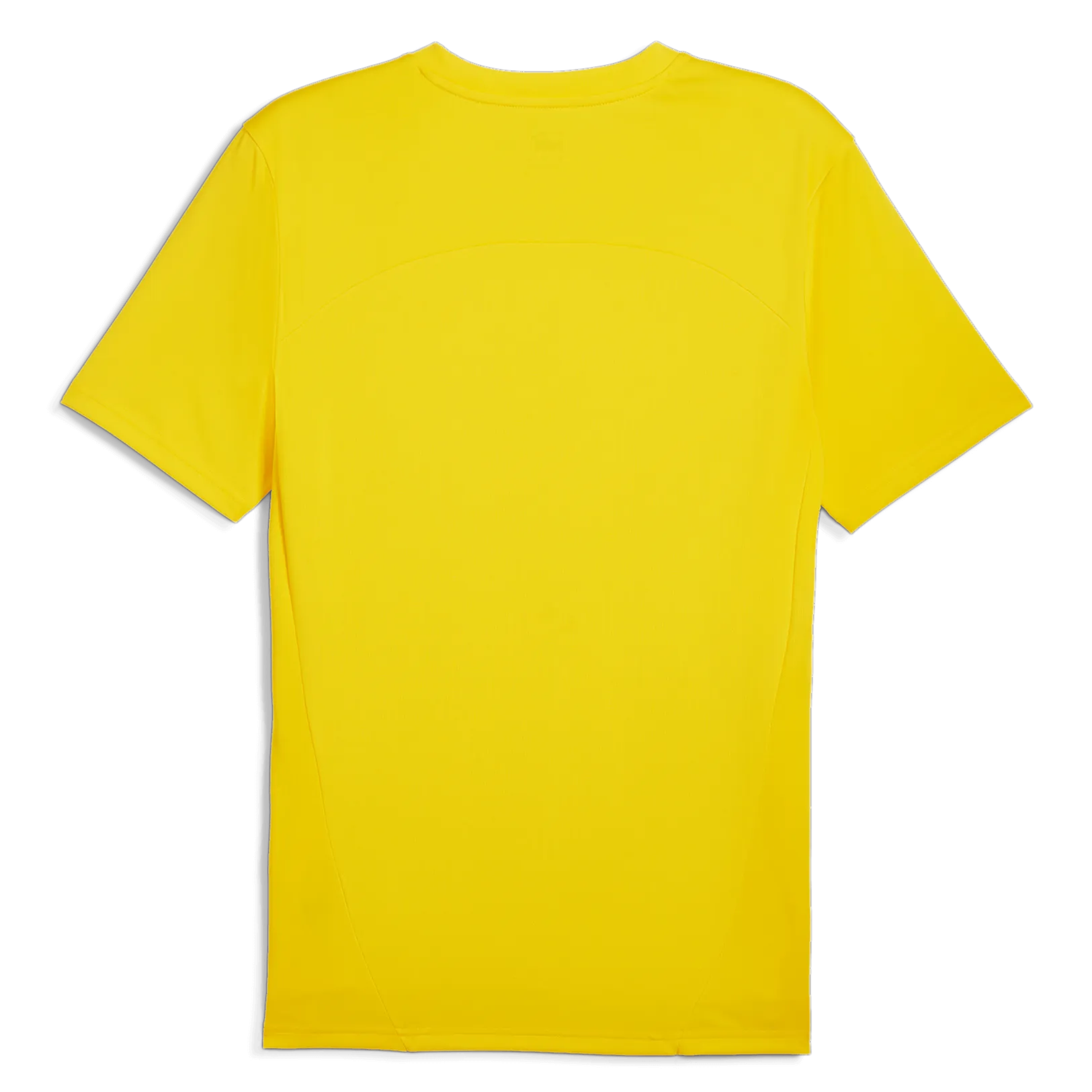 Puma 2024-25 Borussia Dortmund Men's Training Jersey (Back)