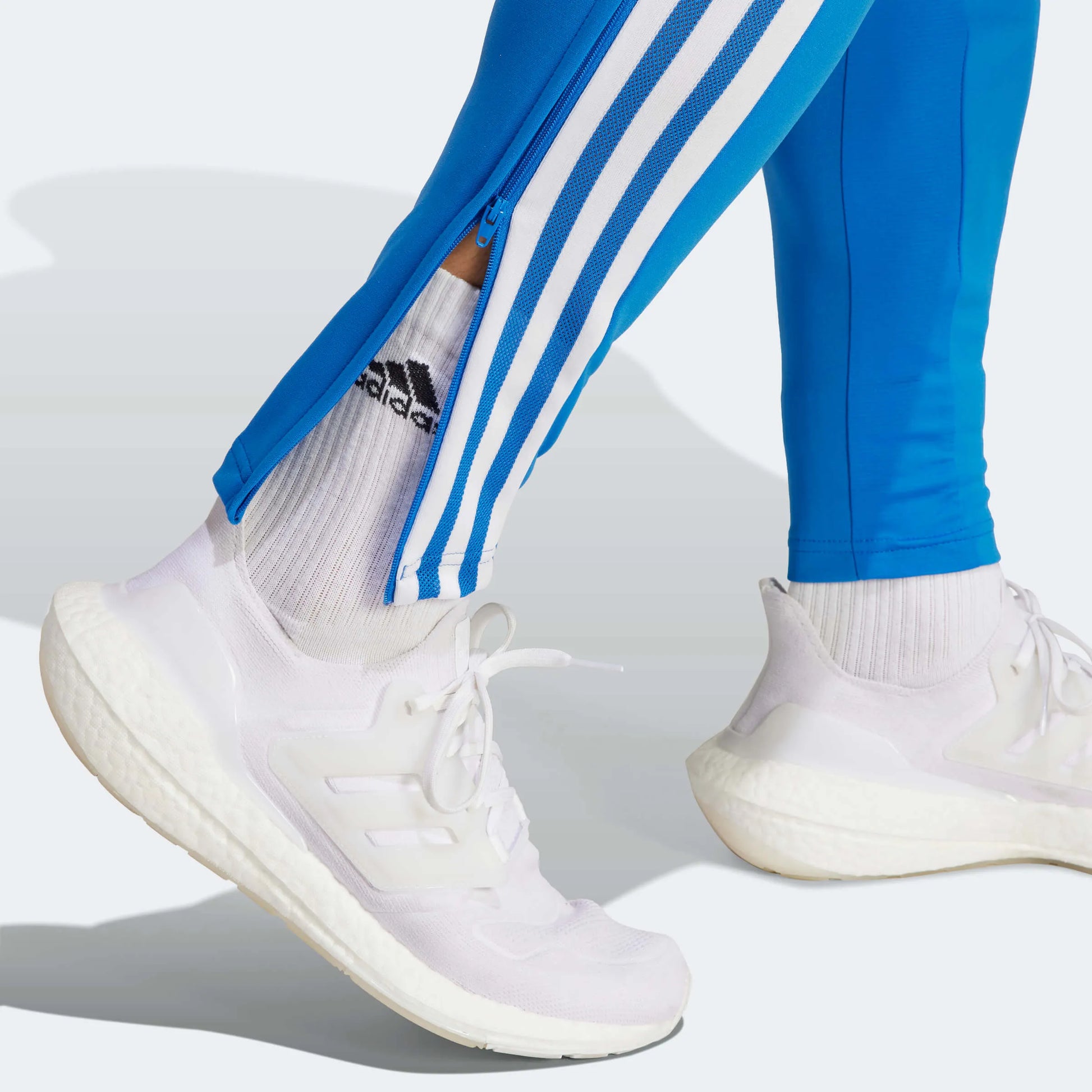 adidas 2023 FC Bayern Munich Training Pants - Bright Royal (Detail 2)