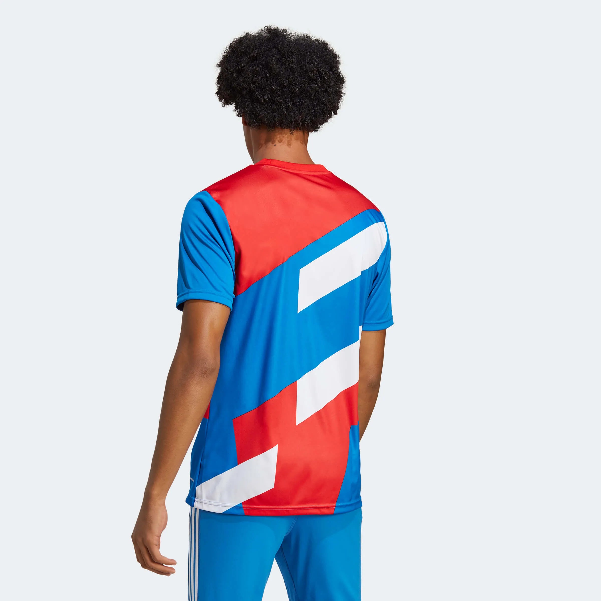 adidas 2023 FC Bayern Munich Pre-Match Jersey - Red-Bright Royal (Model - Back)