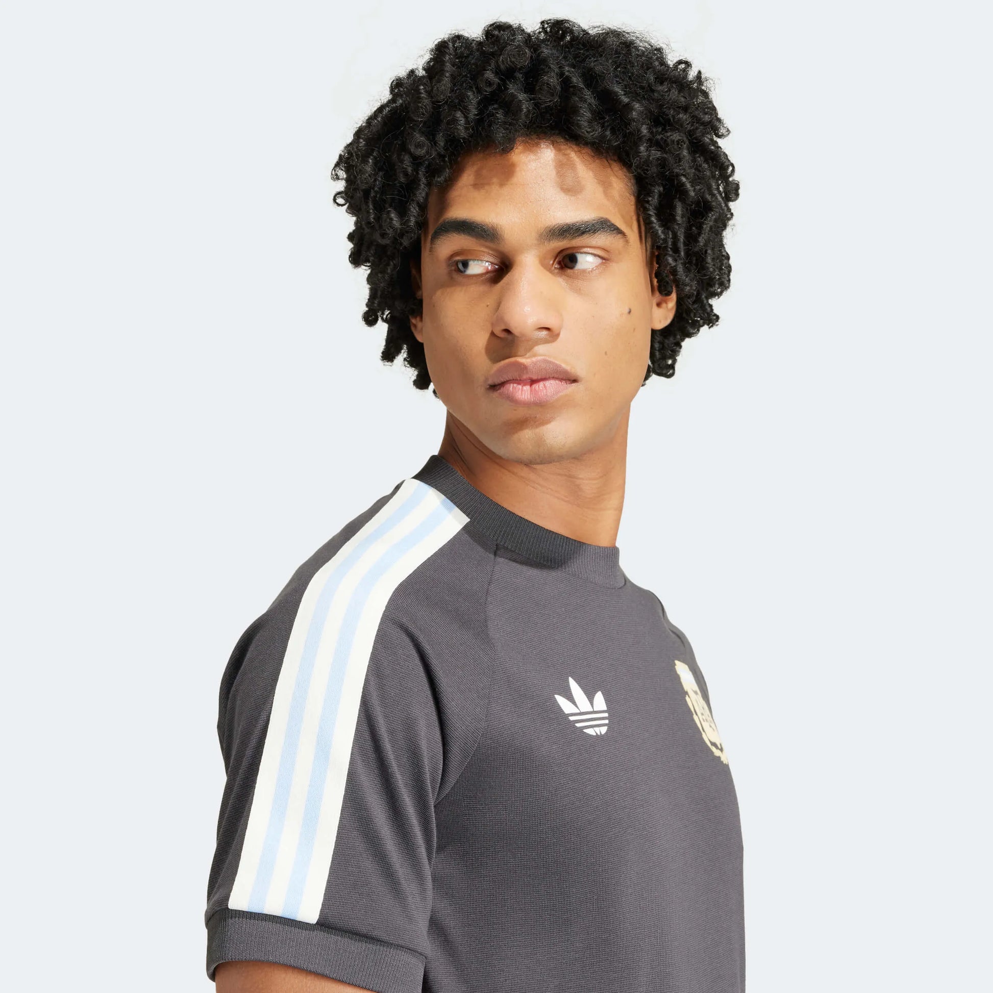 adidas 2023-24 Argentina Men's 3 Strip tee (Detail 2)