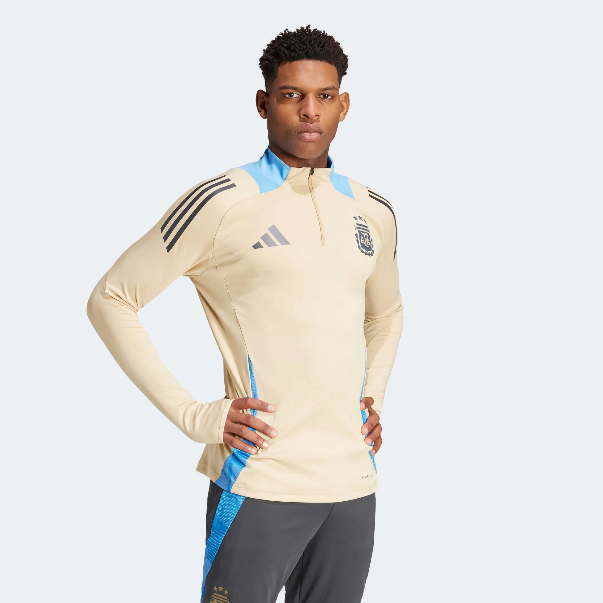 adidas 2024 Argentina Men's Training Top (Model - Front)