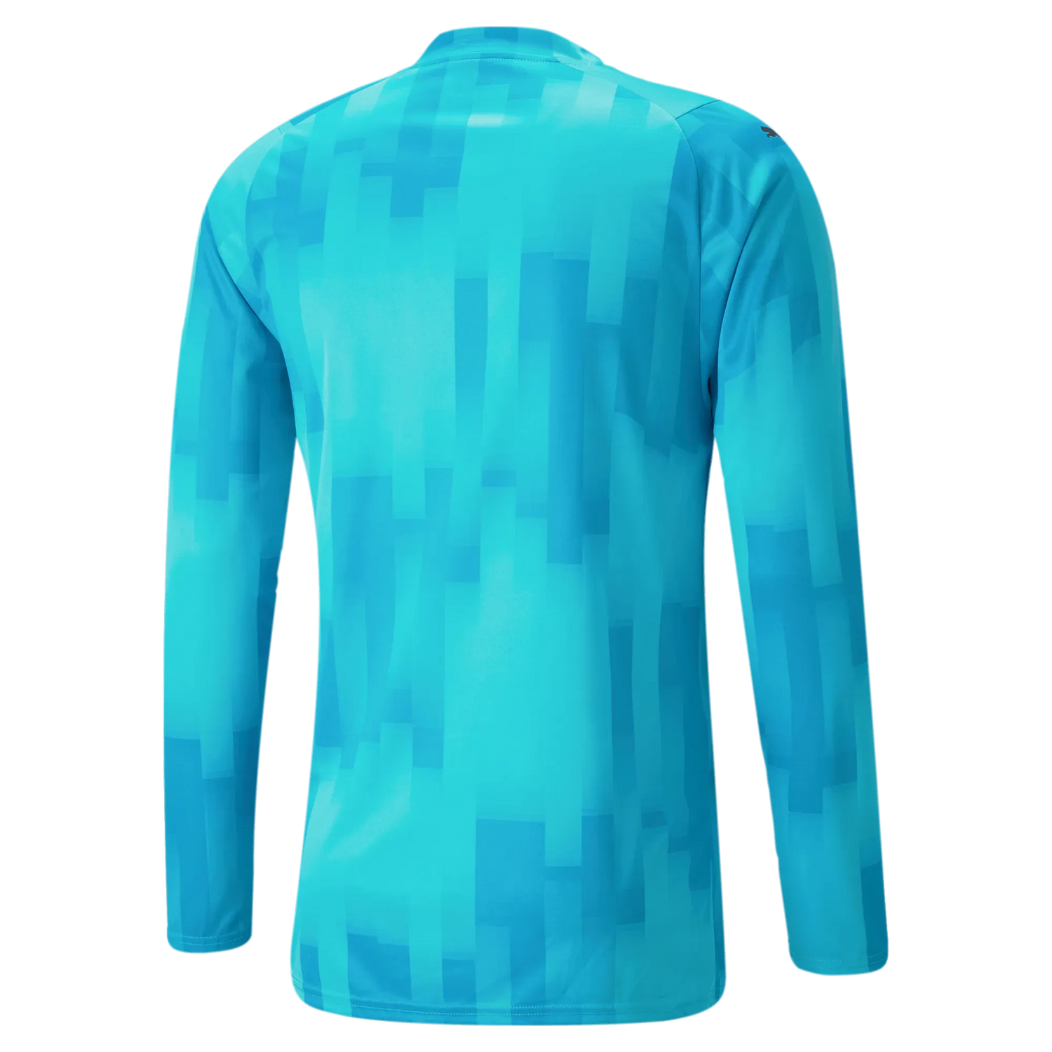 Puma Teamtarget Goalkeeper Longsleeve Mens Jersey Bright Aqua (Back)