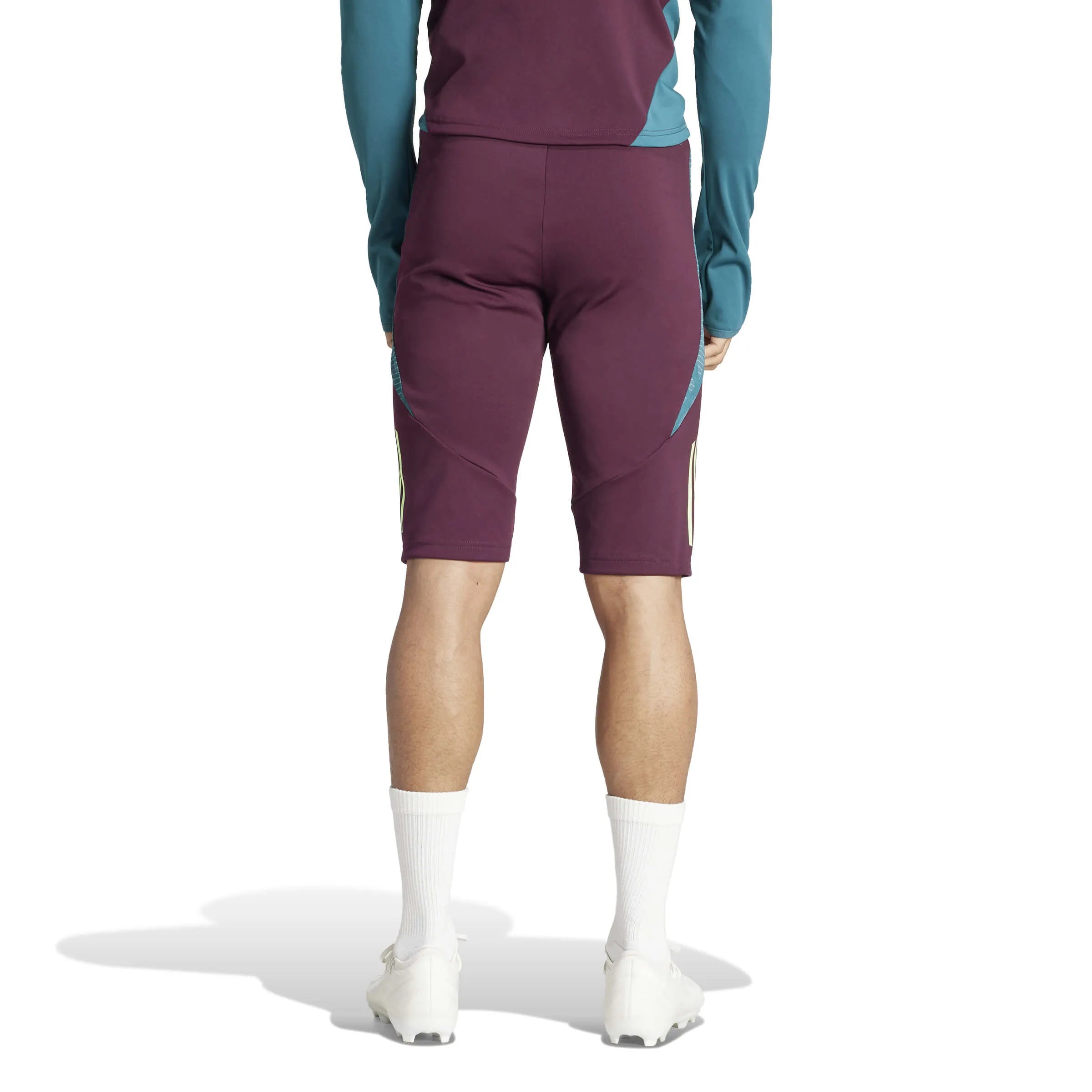 adidas 2024-25 Mexico Men's Tiro 24 Competition 1-2 Pants (Model - Back)