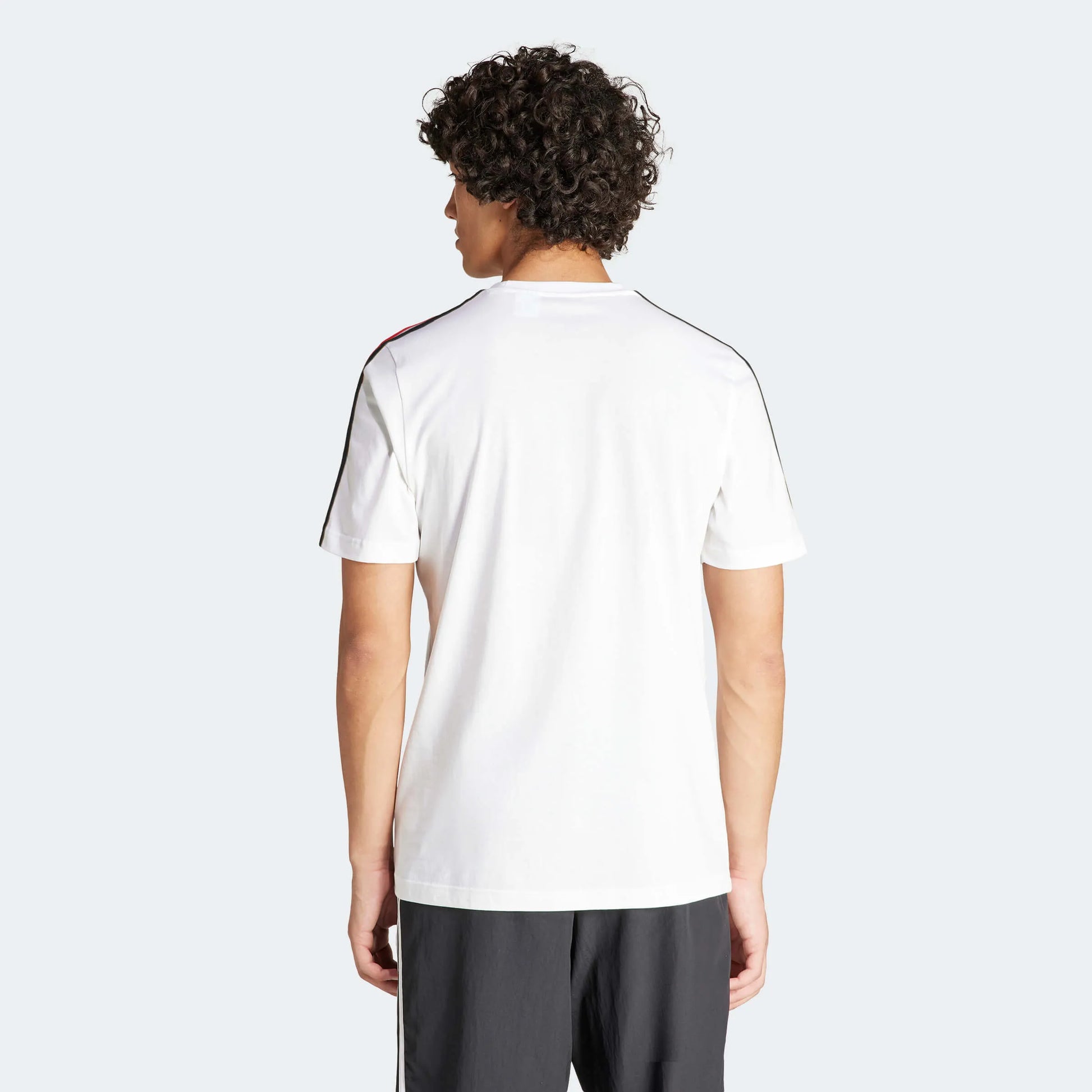 adidas 2024-25 Germany Men's DNA Tee (Model - Back)