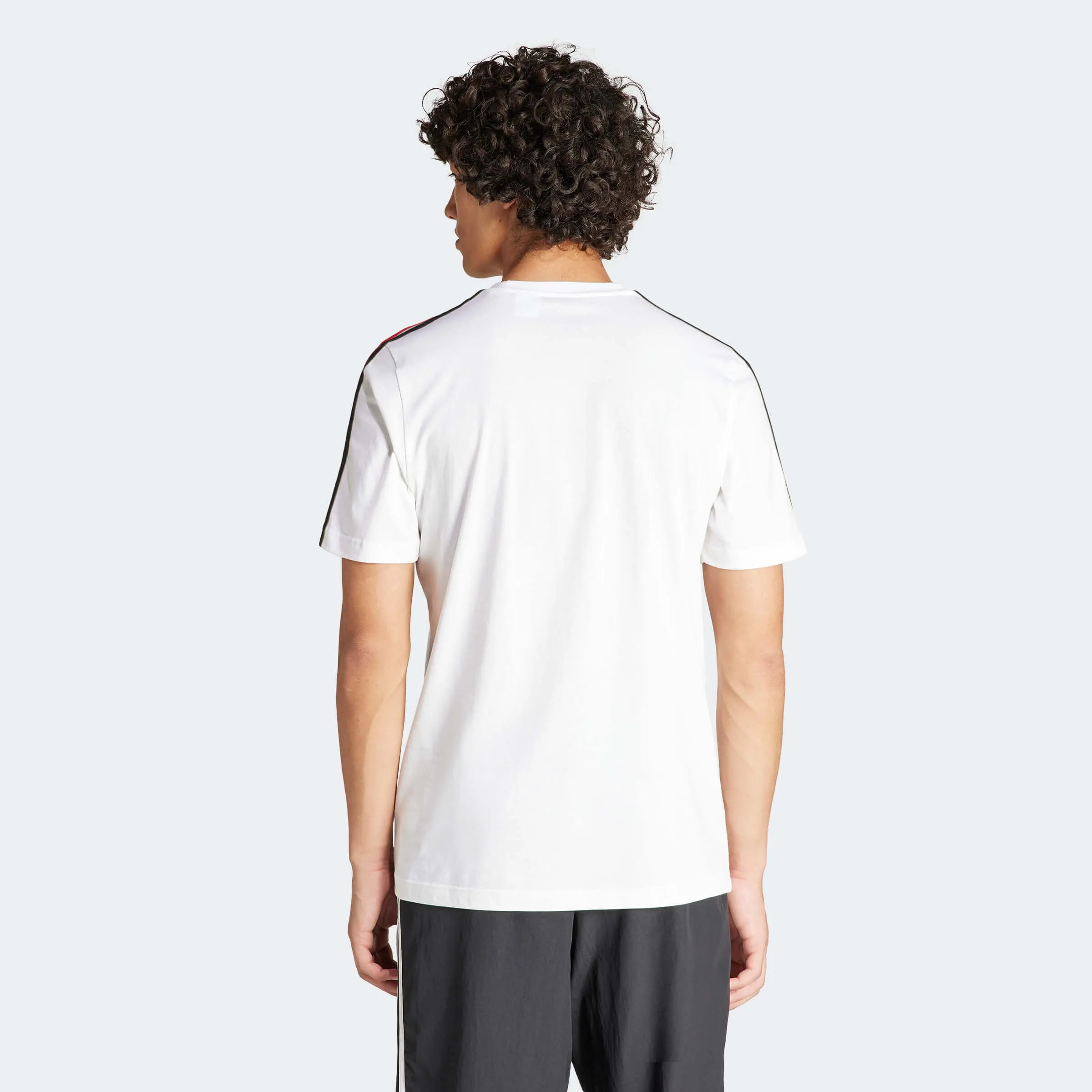 adidas 2024-25 Germany Men's DNA Tee (Model - Back)