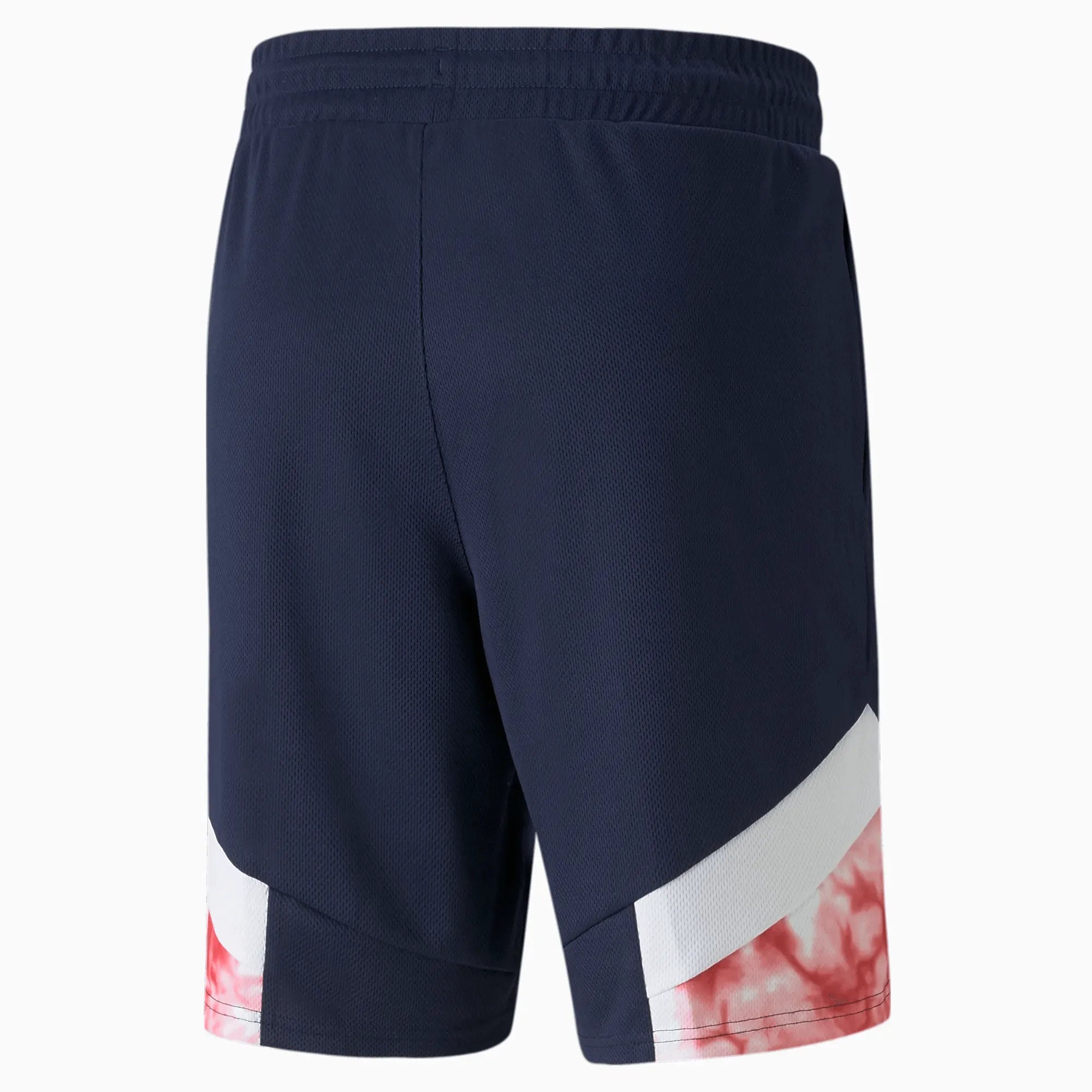 Puma 2022 Chivas Iconic Mesh Shorts - Navy-White-Red (Back)