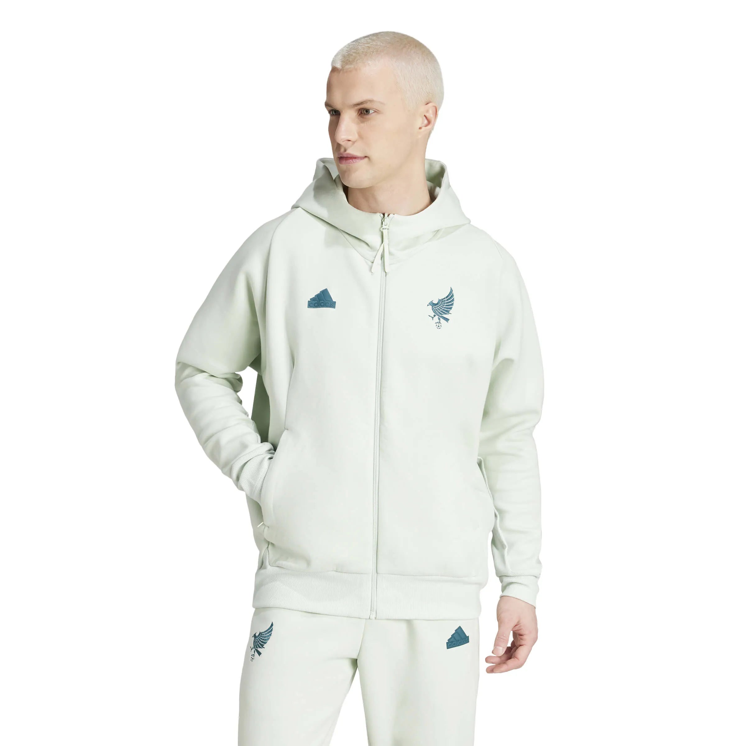 adidas 2024-25 Mexico Men's Travel Hoodie (Model - Front)