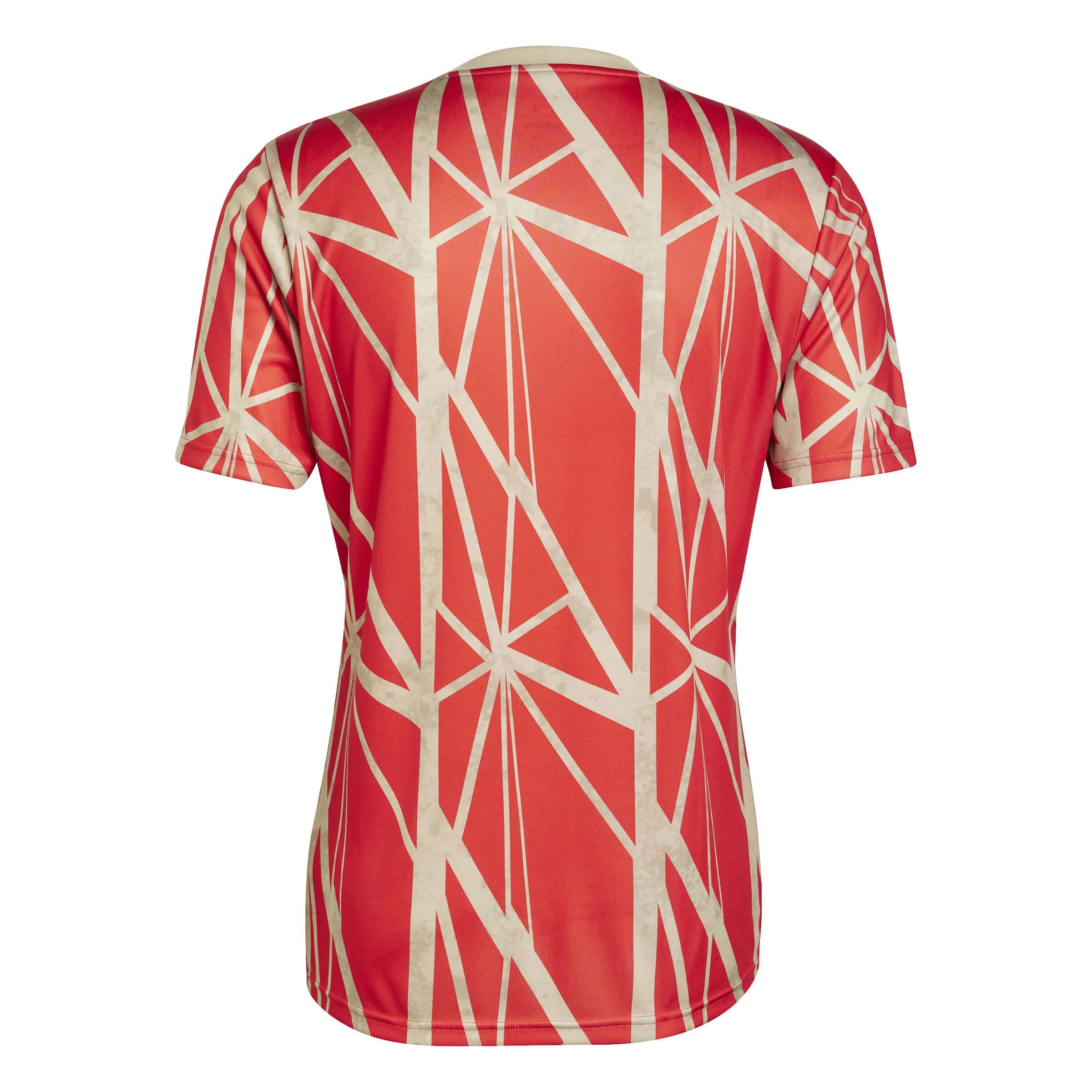 adidas 2024-25 Bayern Munich Men's Pre-Match Jerseys (Back)