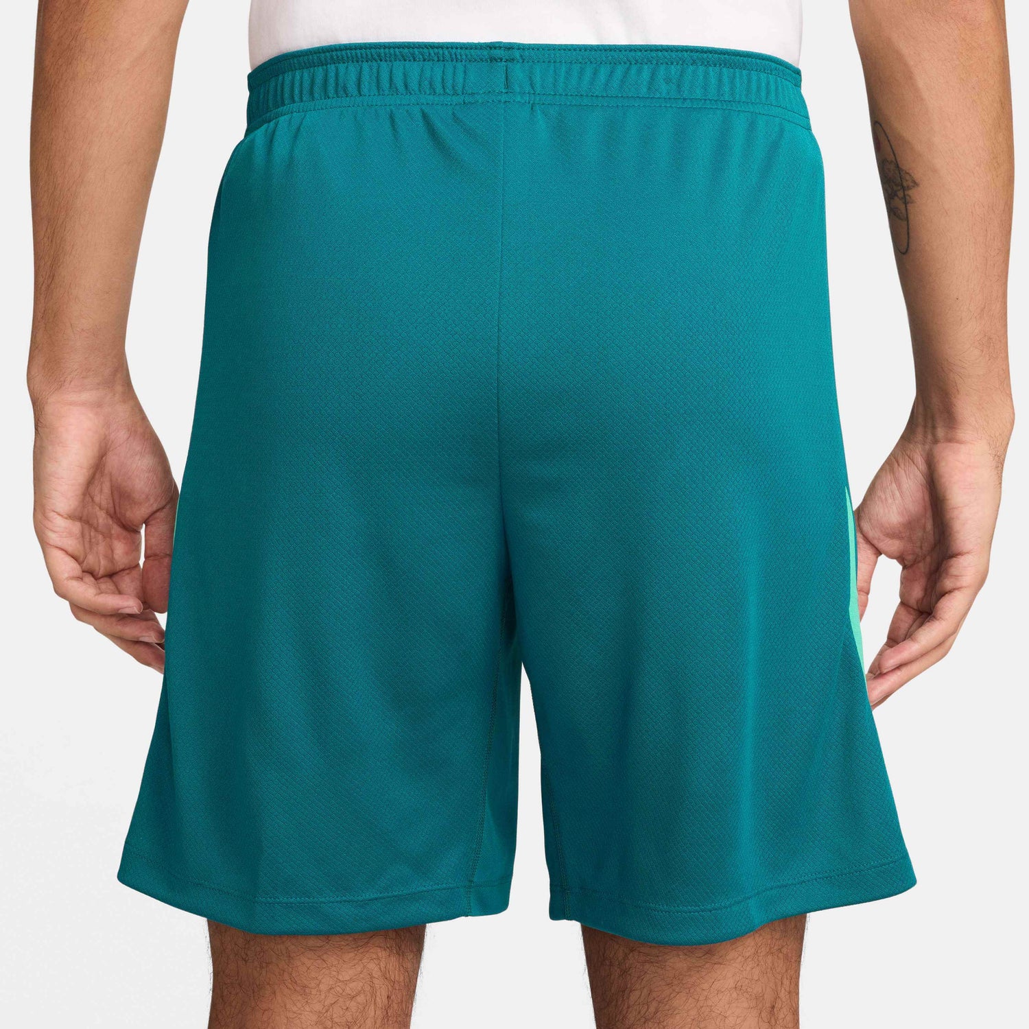 Nike 2024-25 Portugal Men's Dri-Fit Knit Shorts (Back)