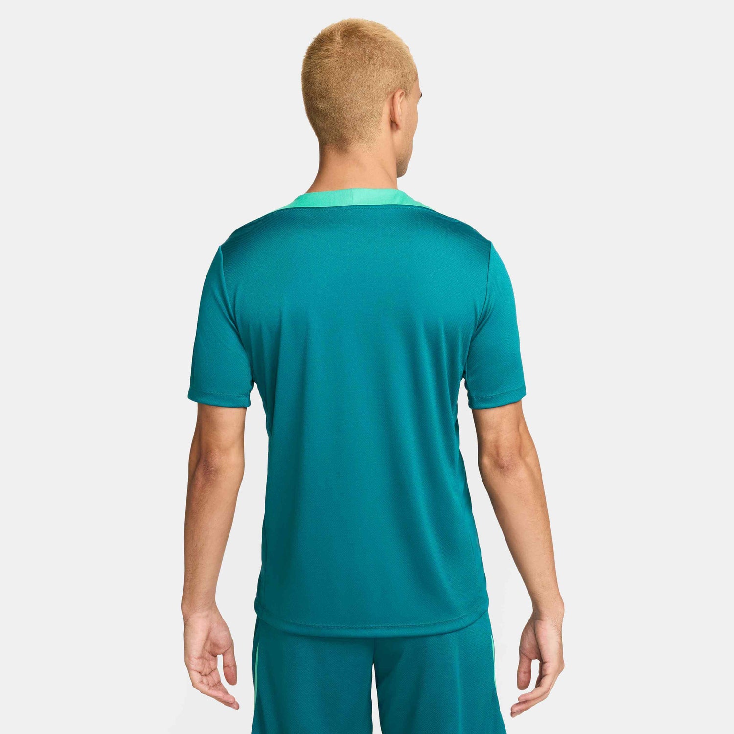 Nike 2024-25 Portugal Men's Dri-Fit Short-Sleeve Knit Top (Model - Back)