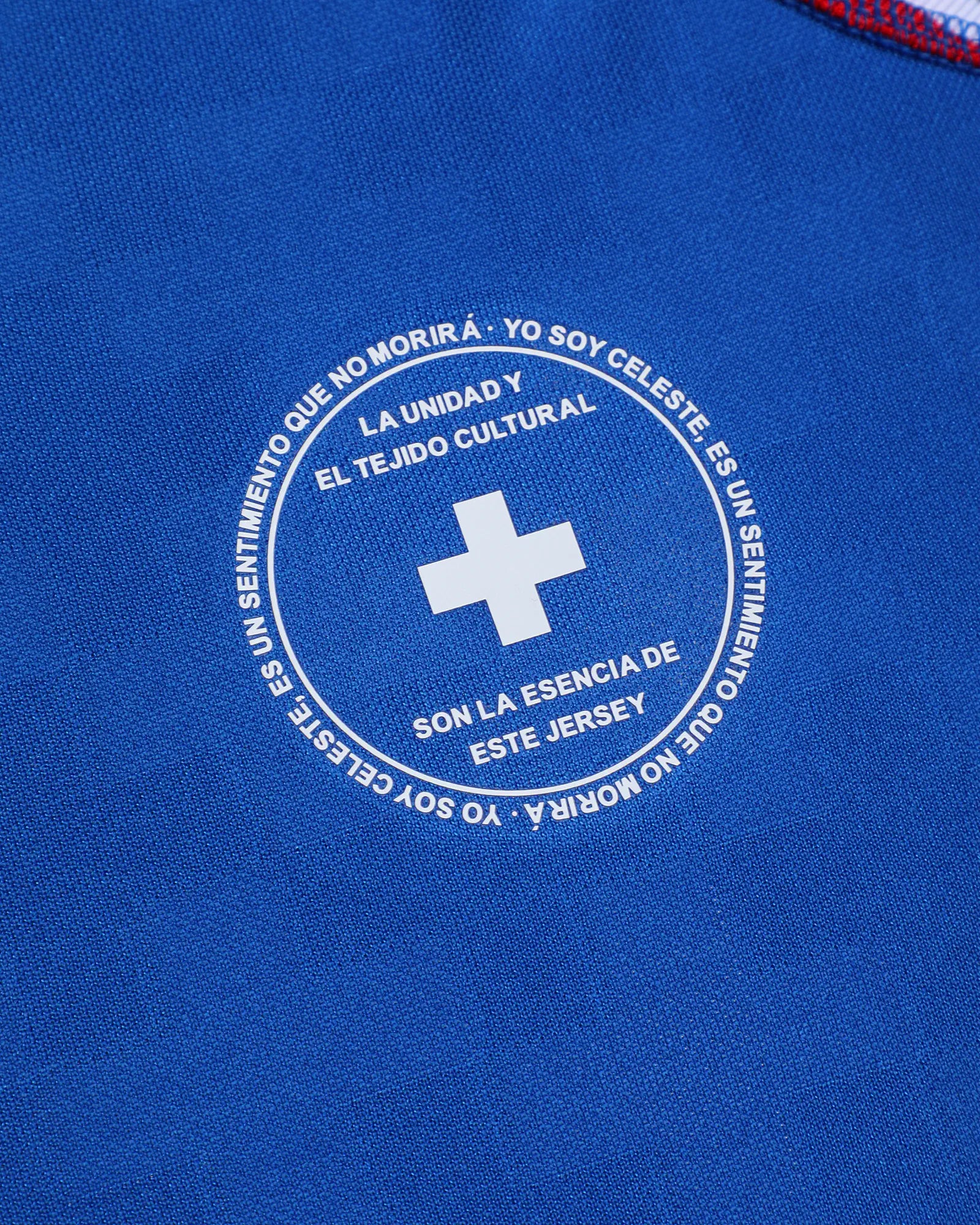 Pirma 2025-26 Cruz Azul Youth Stadium Home Soccer Jersey (Detail 3)