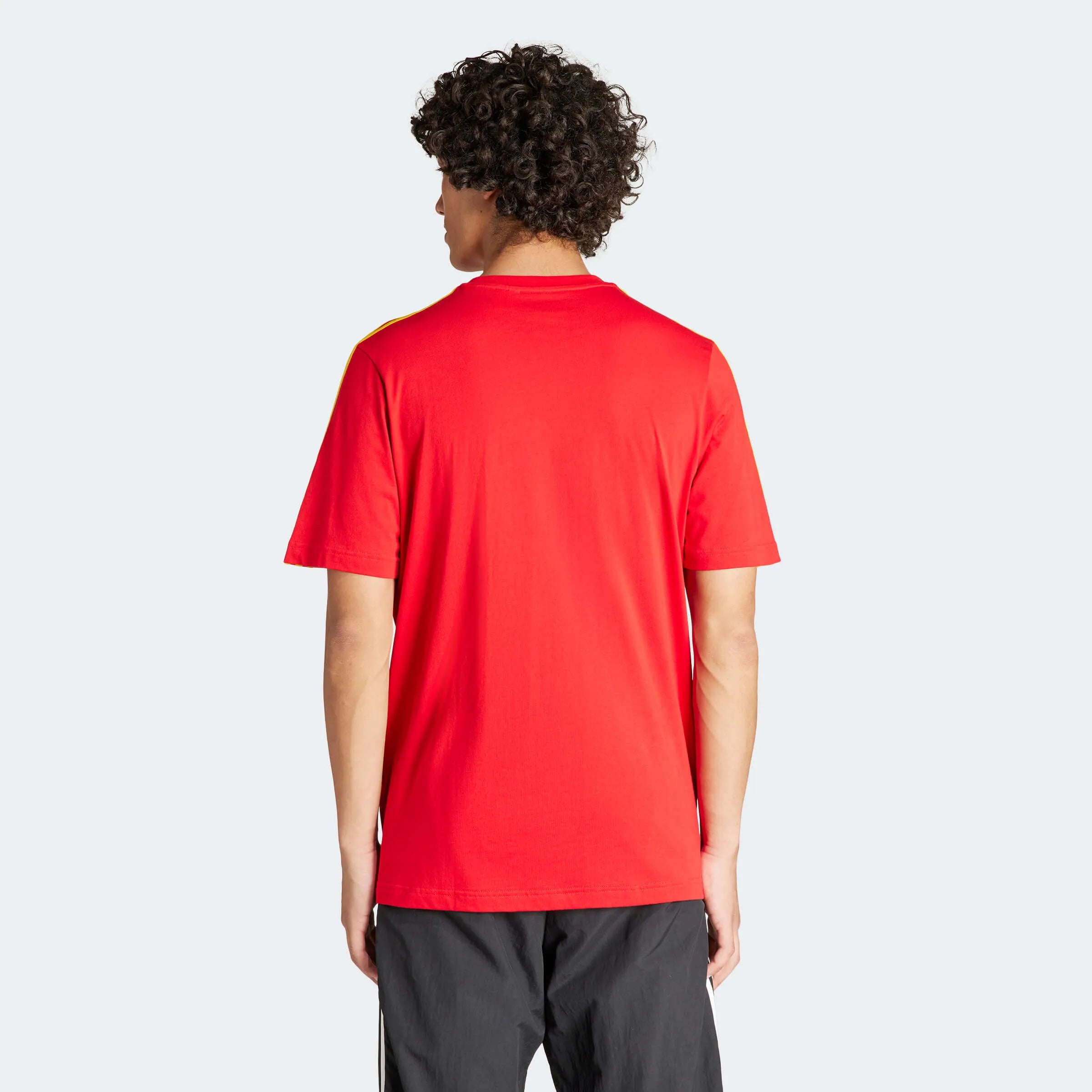 adidas 2024-25 Spain Men's DNA Tee (Model - Back)