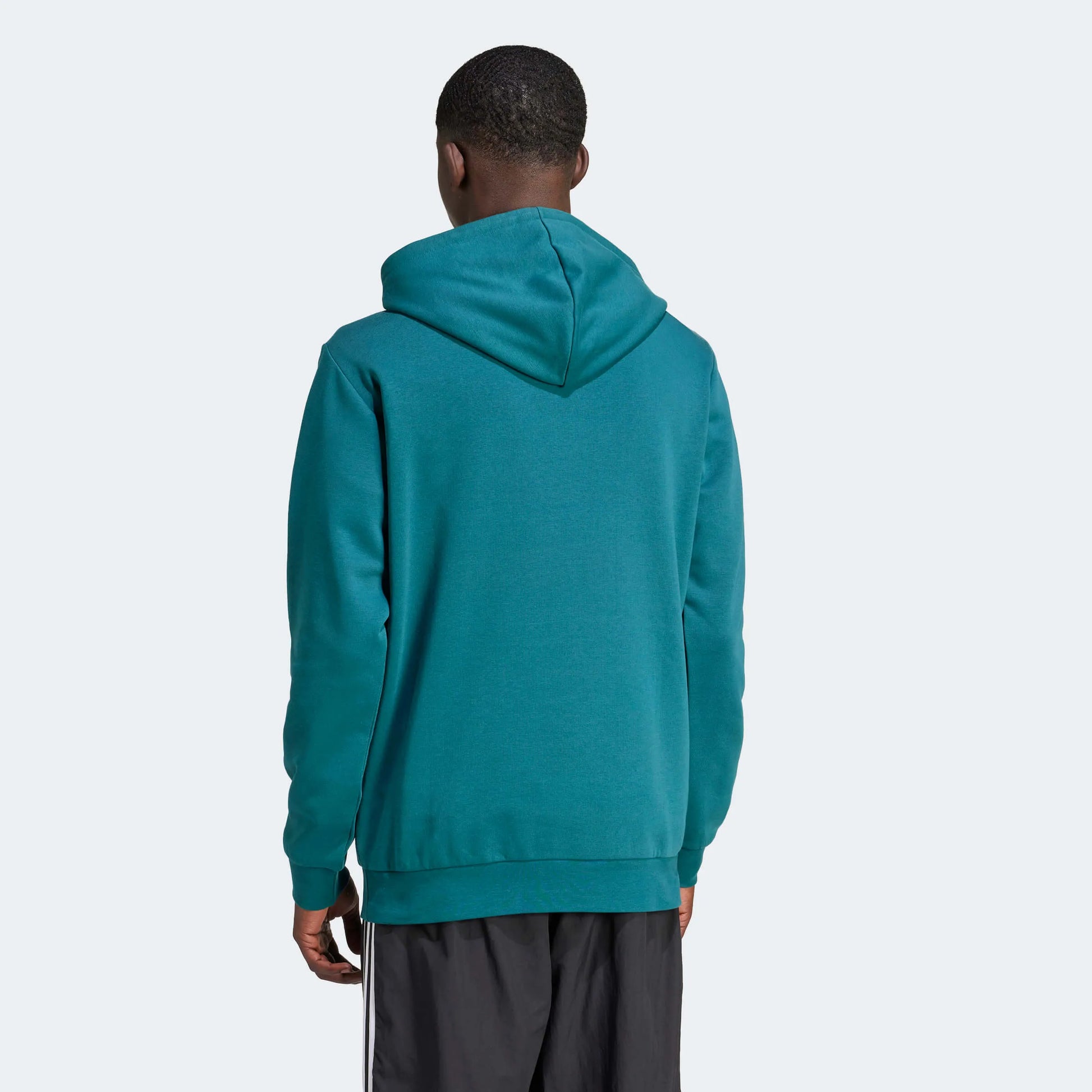 adidas 2023-24 Mexico Men's FMF DNA Hoodie (Model - Back)