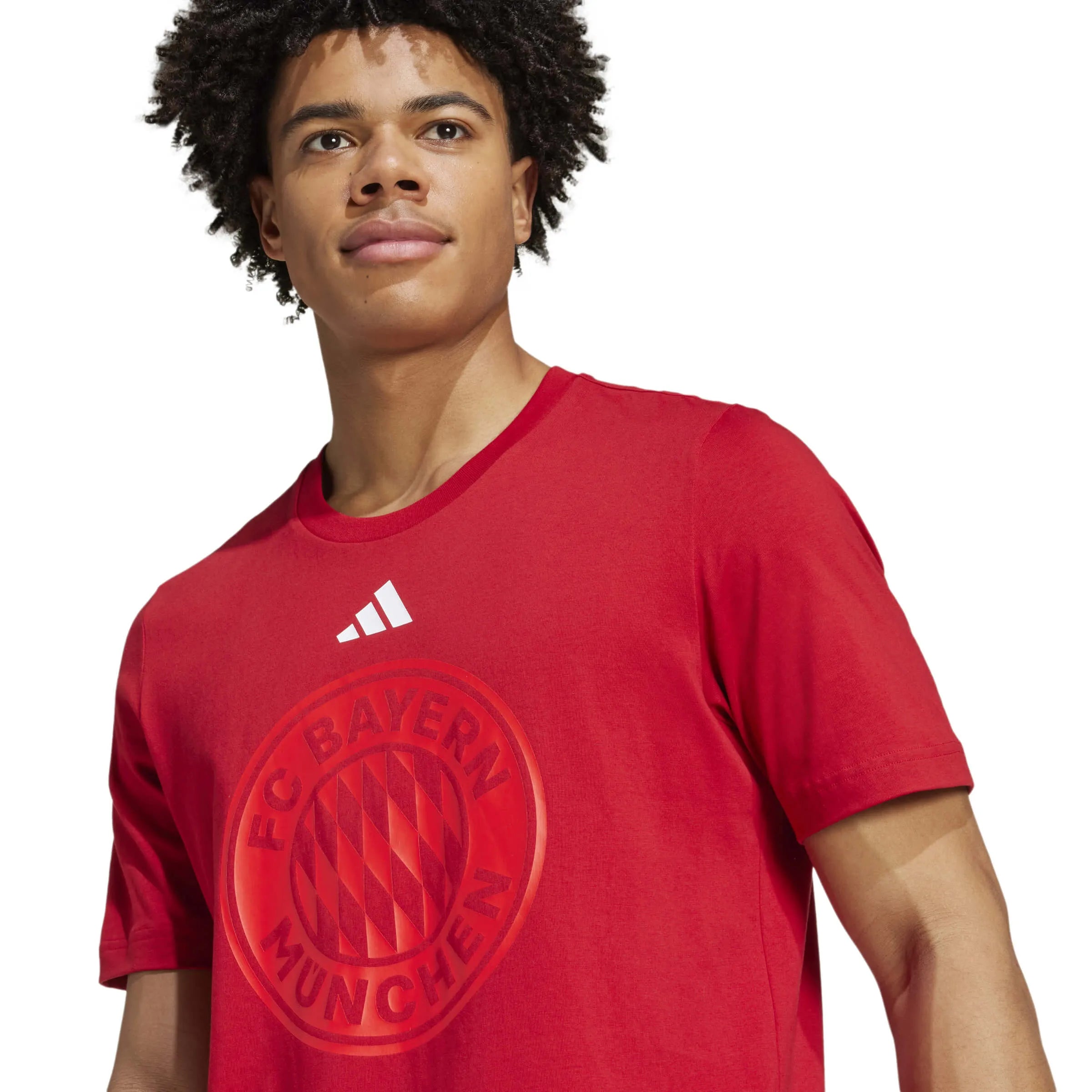adidas 2024-25 Bayern Munich Men's DNA Graphic Tee (Detail 1)