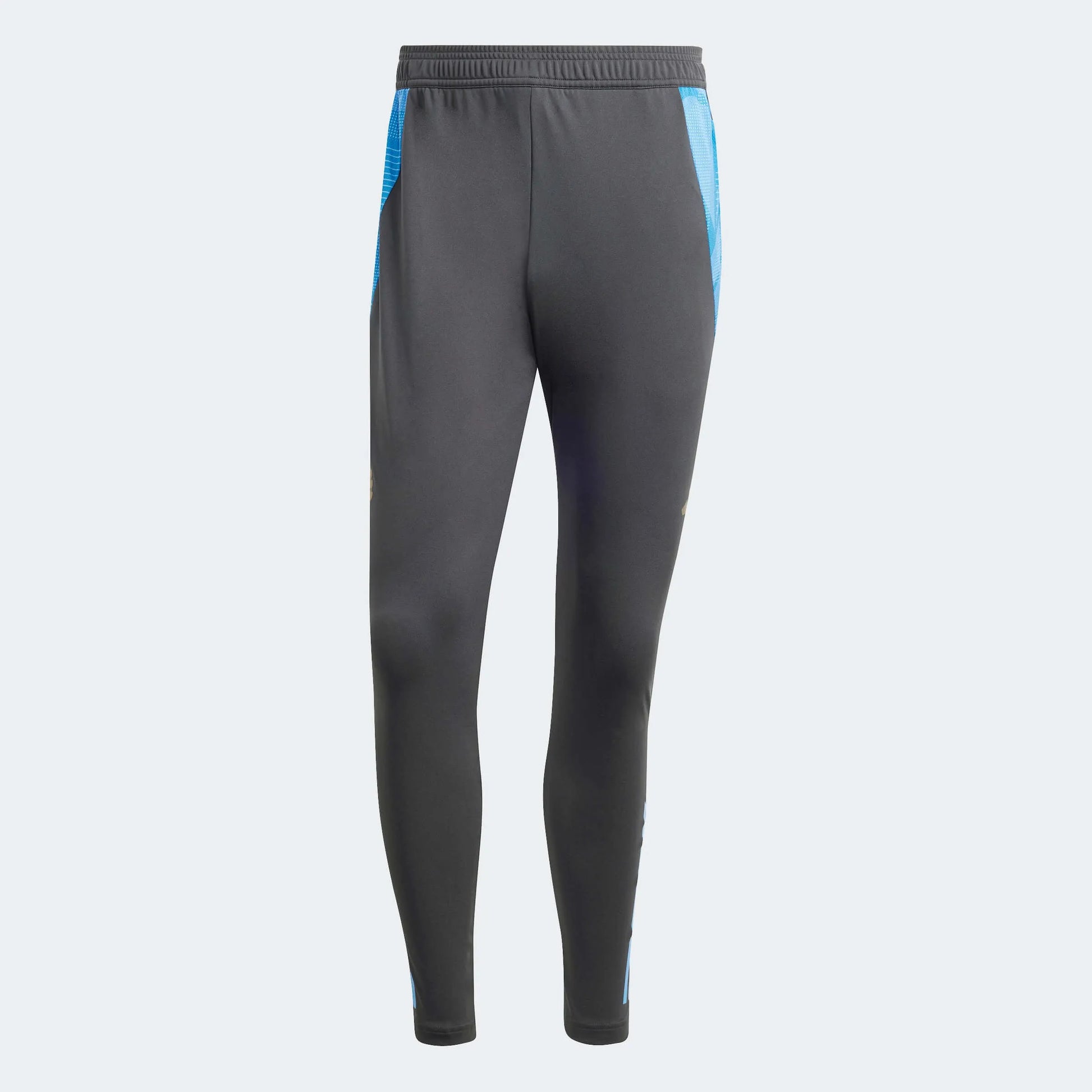 adidas 2024 Argentina Men's Training Pants (Front)