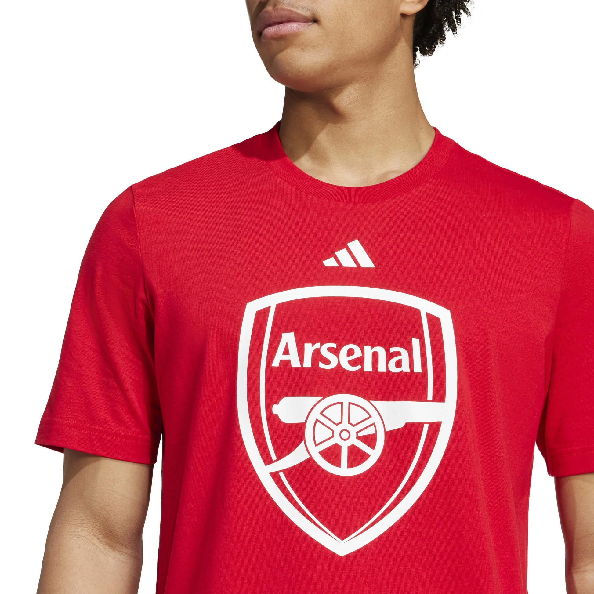 adidas 2024-25 Arsenal Men's DNA Graphic Tee (Detail 1)