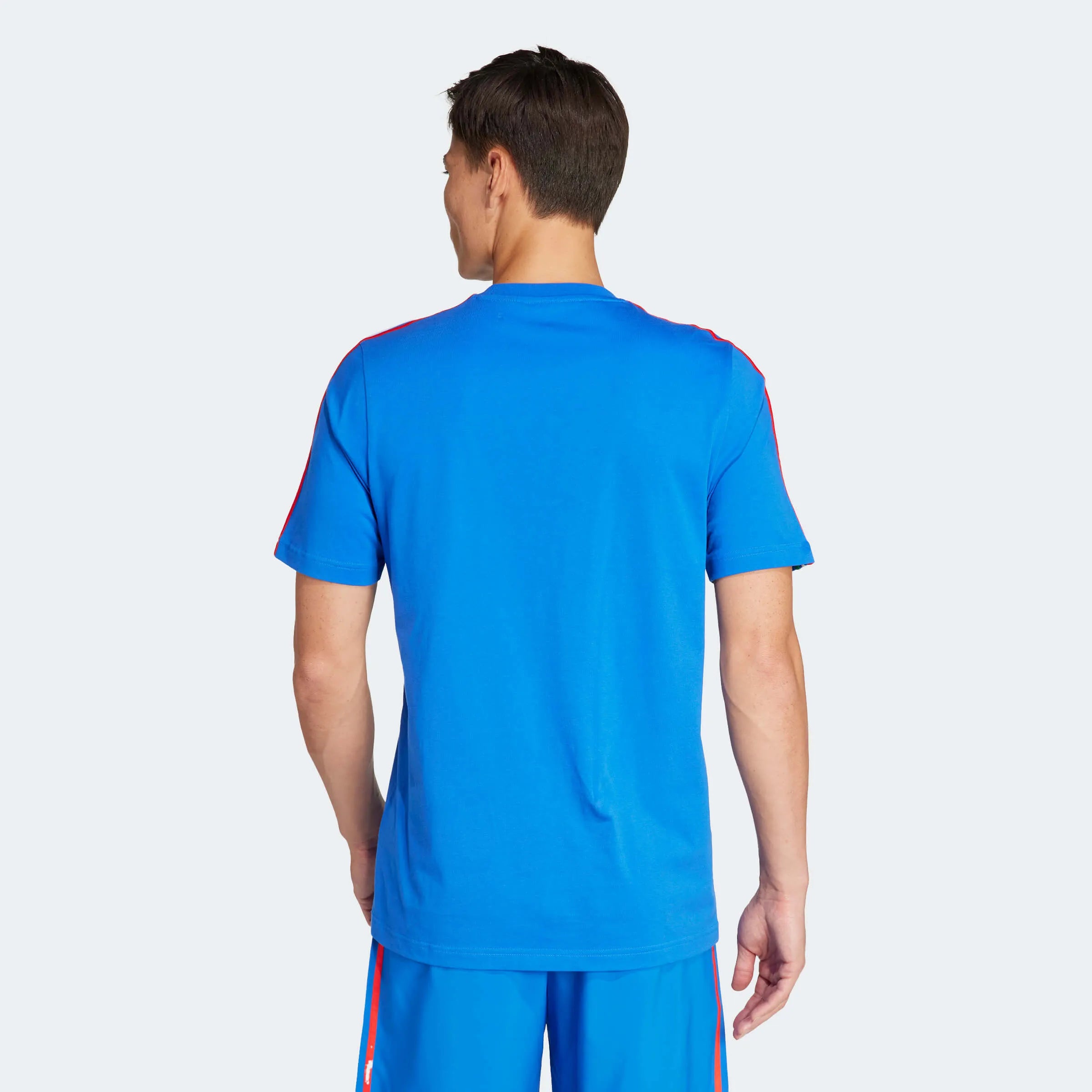 adidas 2024-25 Italy Men's DNA Tee (Model - Back)