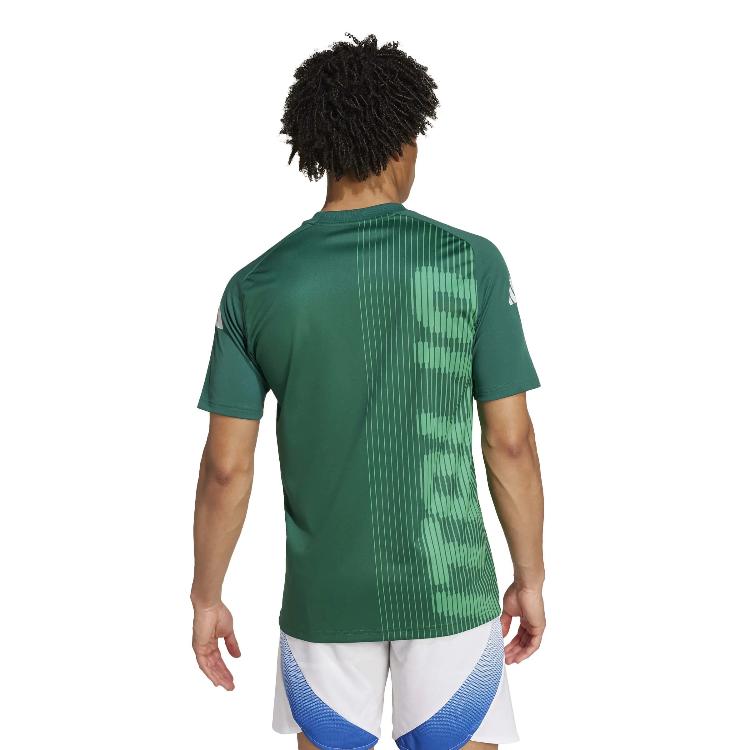 adidas 2024-25 Italy Men's Pre-Match Jersey (Model - Back)