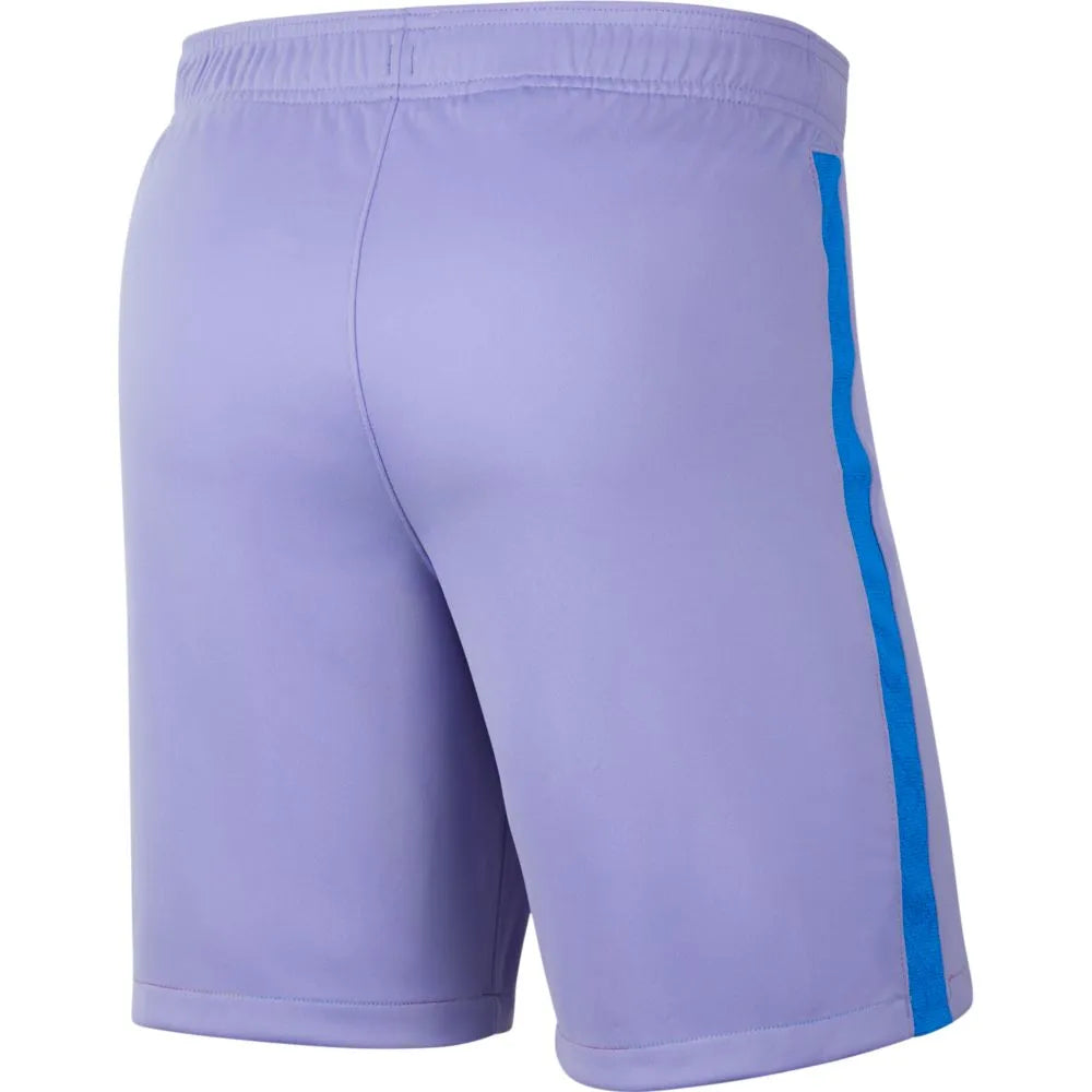 Nike 2021-22 Barcelona DF Stadium Shorts - Purple Pulse (Back)