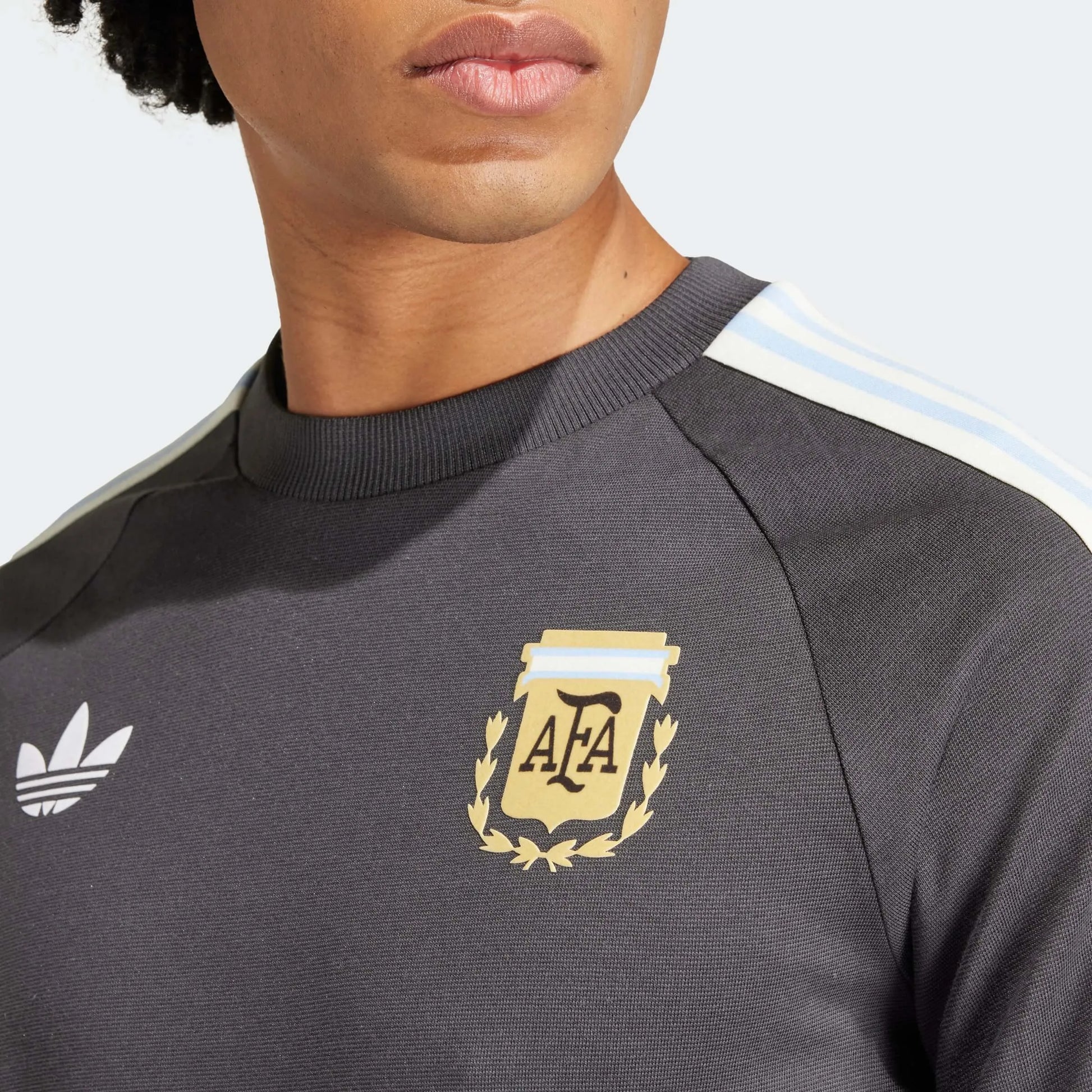 adidas 2023-24 Argentina Men's 3 Strip tee (Detail 1)