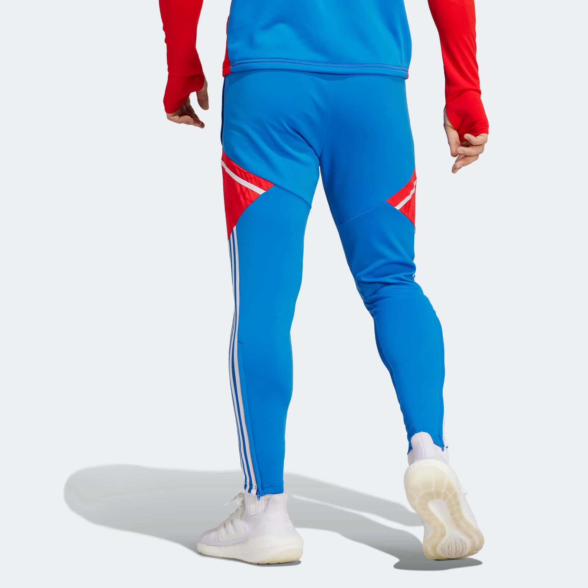adidas 2023 FC Bayern Munich Training Pants - Bright Royal (Model - Back)
