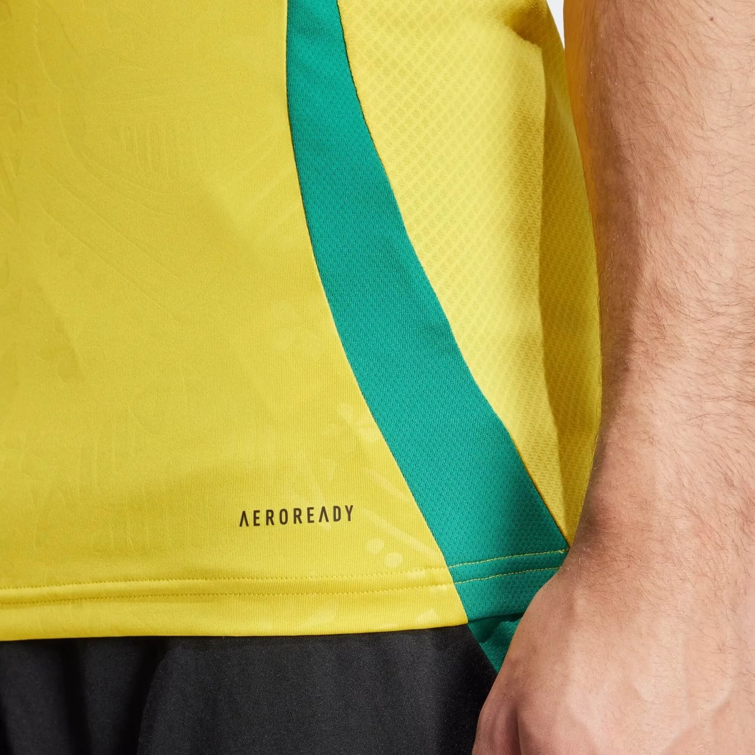 adidas 2024-25 Jamaica Men's Stadium Home Jersey (Detail 2)