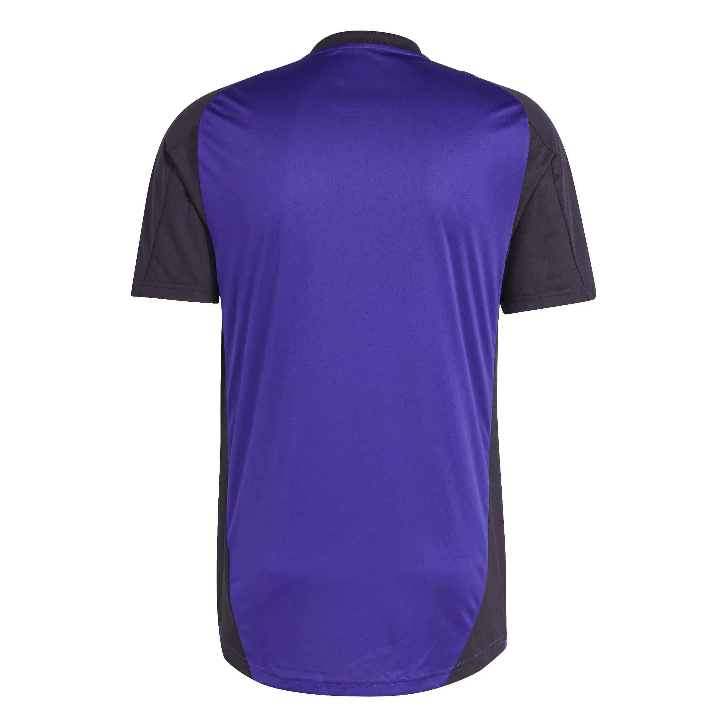 adidas 2024-25 Germany Men's Training Jersey (Back)