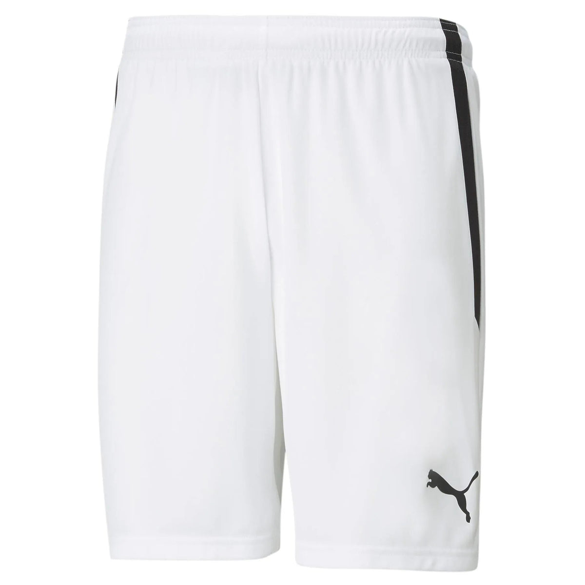 Puma Men's TeamLiga Shorts