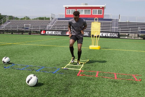 Kwik Goal Mini Ladder