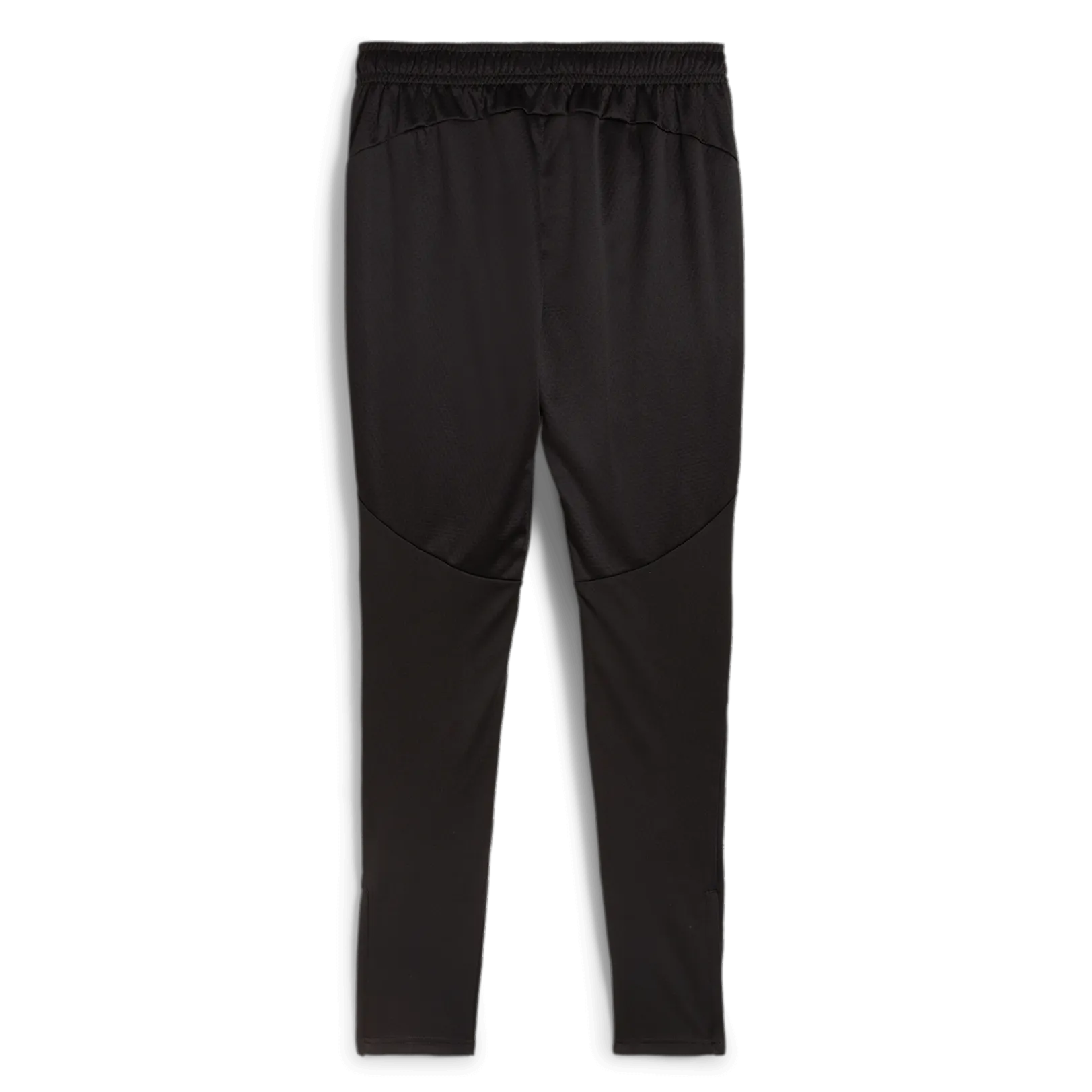 Puma 2024-25 Borussia Dortmund Men's Training Pants (Back)