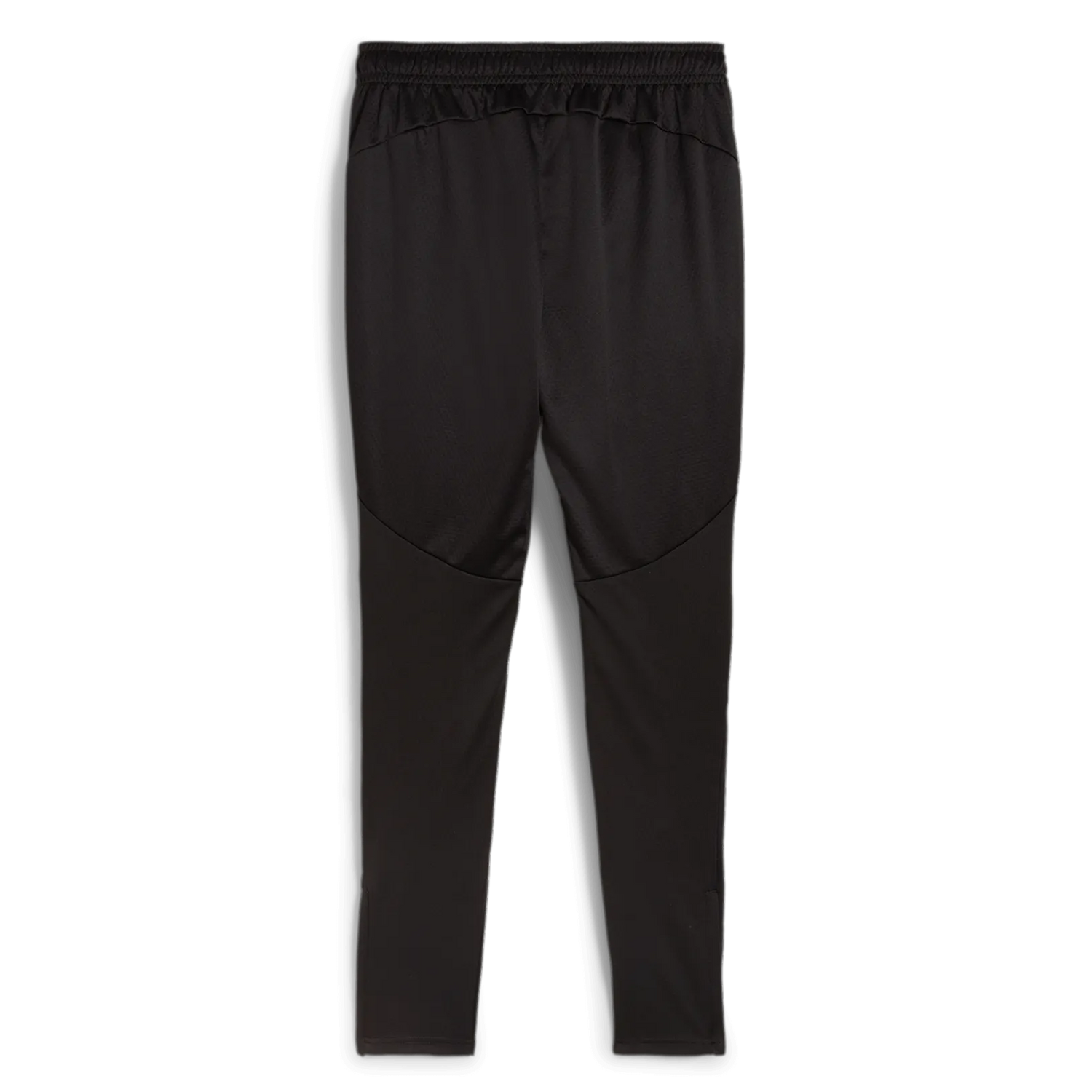 Puma 2024-25 Borussia Dortmund Men's Training Pants (Back)