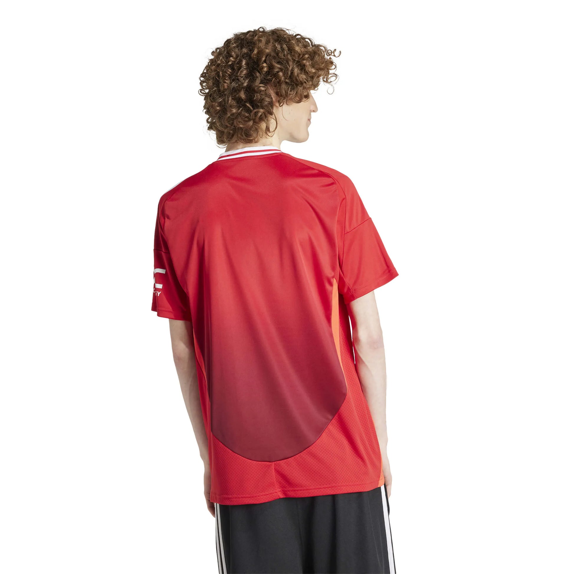 adidas 2024-25 Manchester United Men's Stadium Home Jersey (Model - Back)