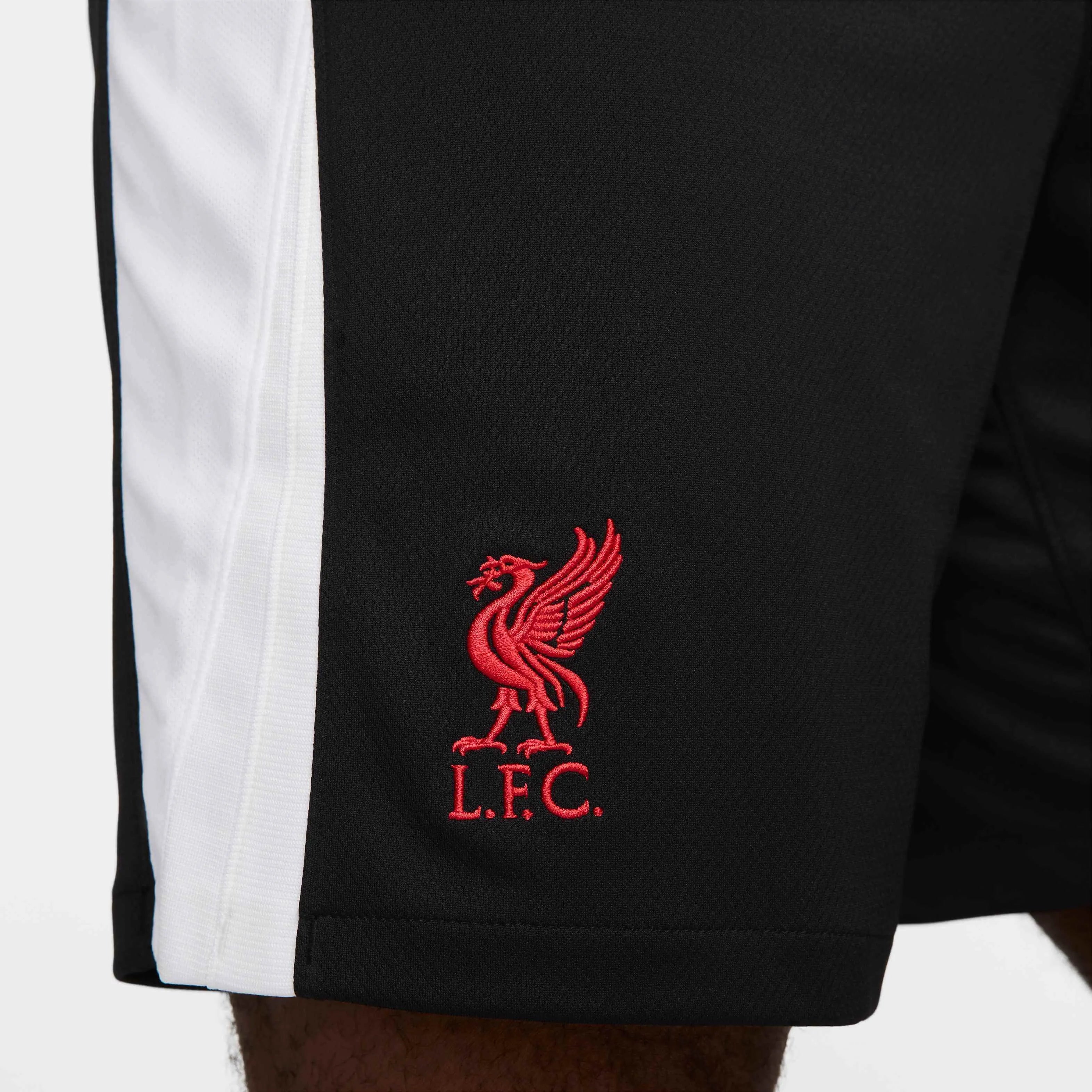 Nike 2024-25 Liverpool Men's Stadium Third Shorts (Detail 2)