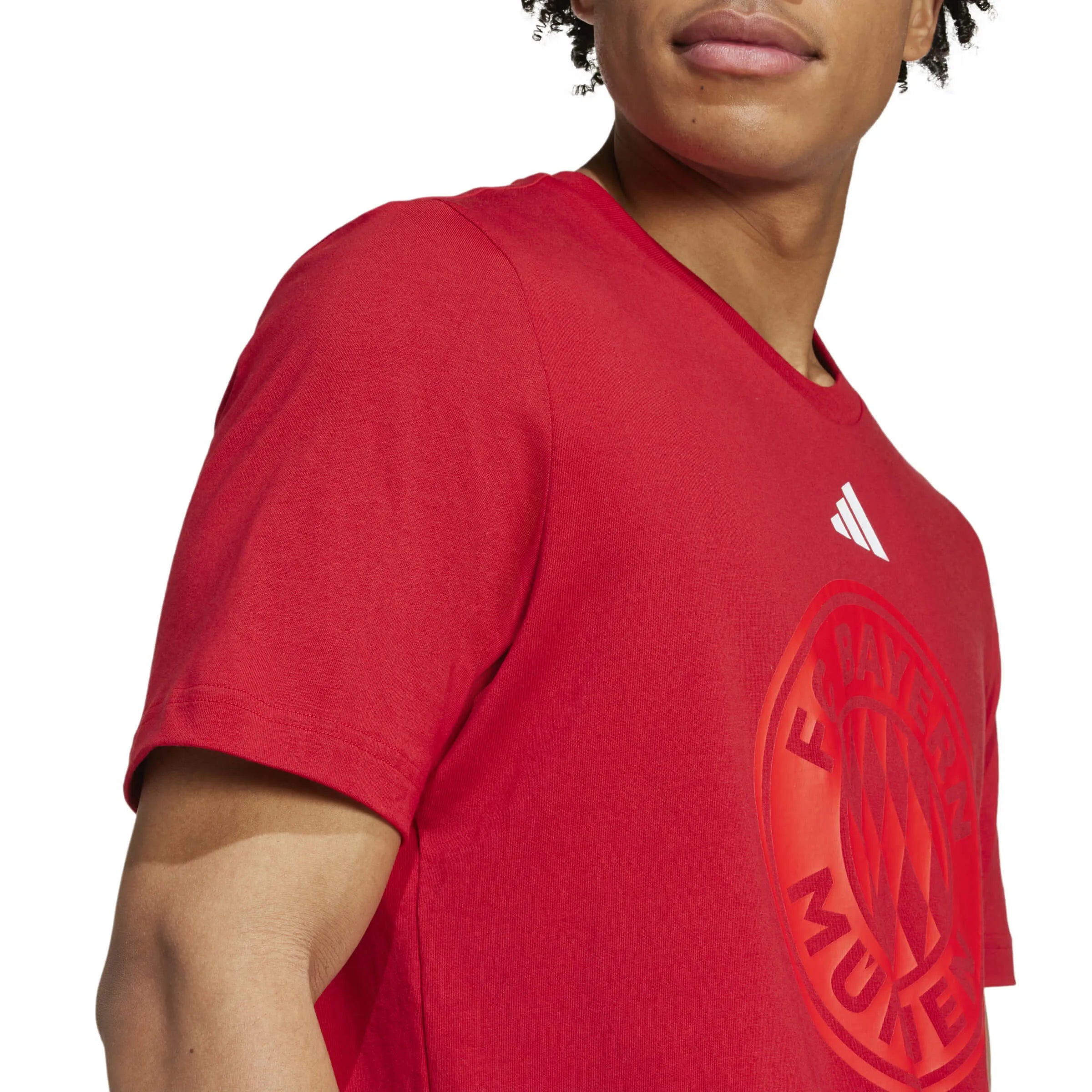 adidas 2024-25 Bayern Munich Men's DNA Graphic Tee (Detail 2)