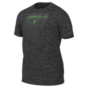 Nike 2023-24 Liverpool Crest Tee - Grey - Green (Front)