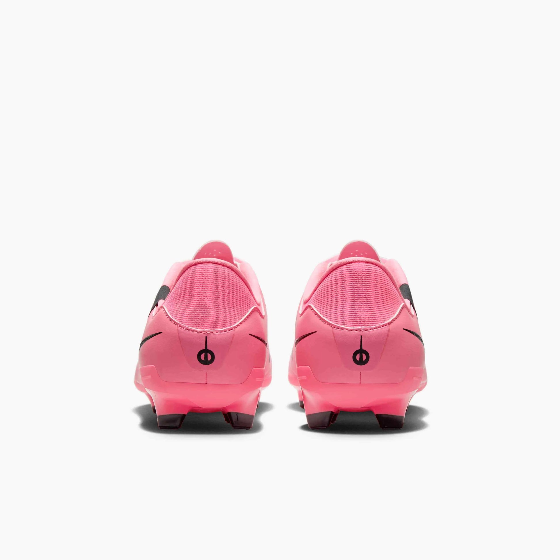 Nike Legend 10 Academy FG_MG - Mad Brilliance Pack (SU24) (Pair - Back)