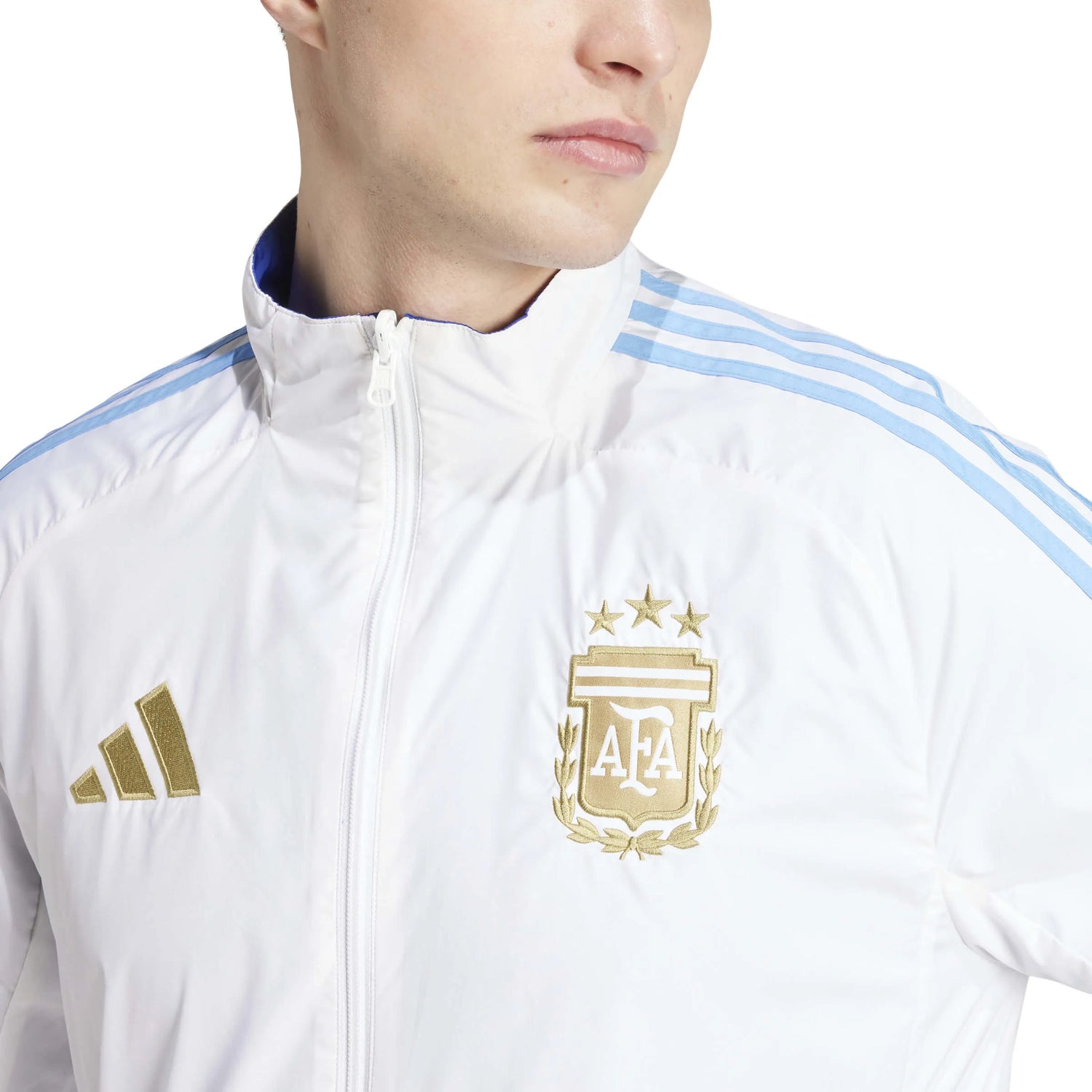 adidas 2024-25 Argentina Men's Anthem Jacket (Detail 1)