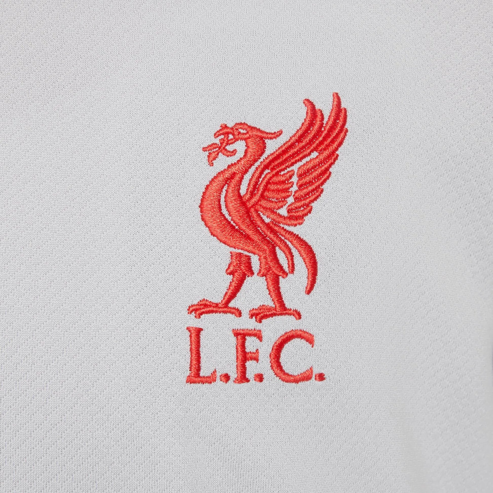Nike 2024-25 Liverpool Youth Strike Top Gray (Detail 2)