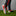 adidas Predator Elite FG - Solar Energy Pack (SP24)