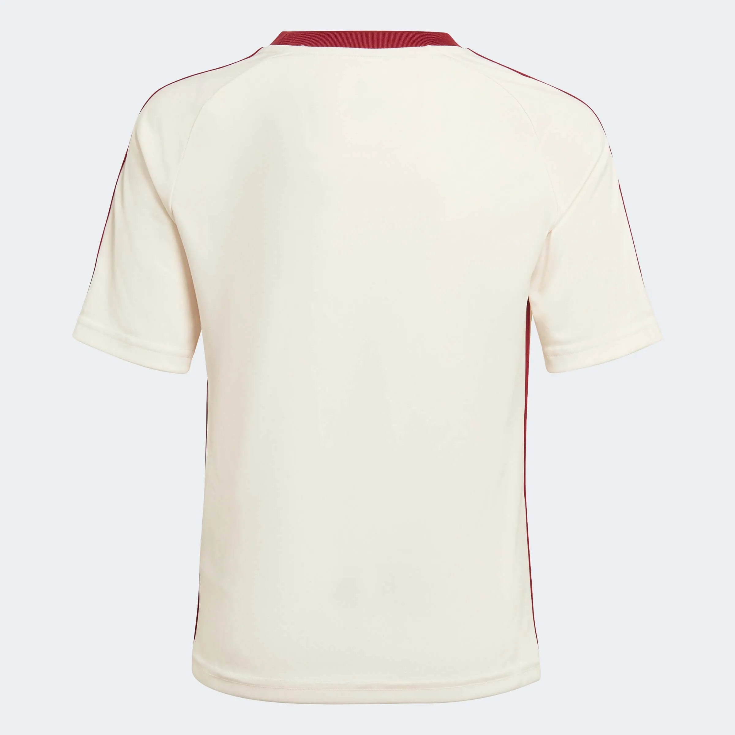 adidas 2022-23 Mexico Youth Away Fan Shirt (Back)