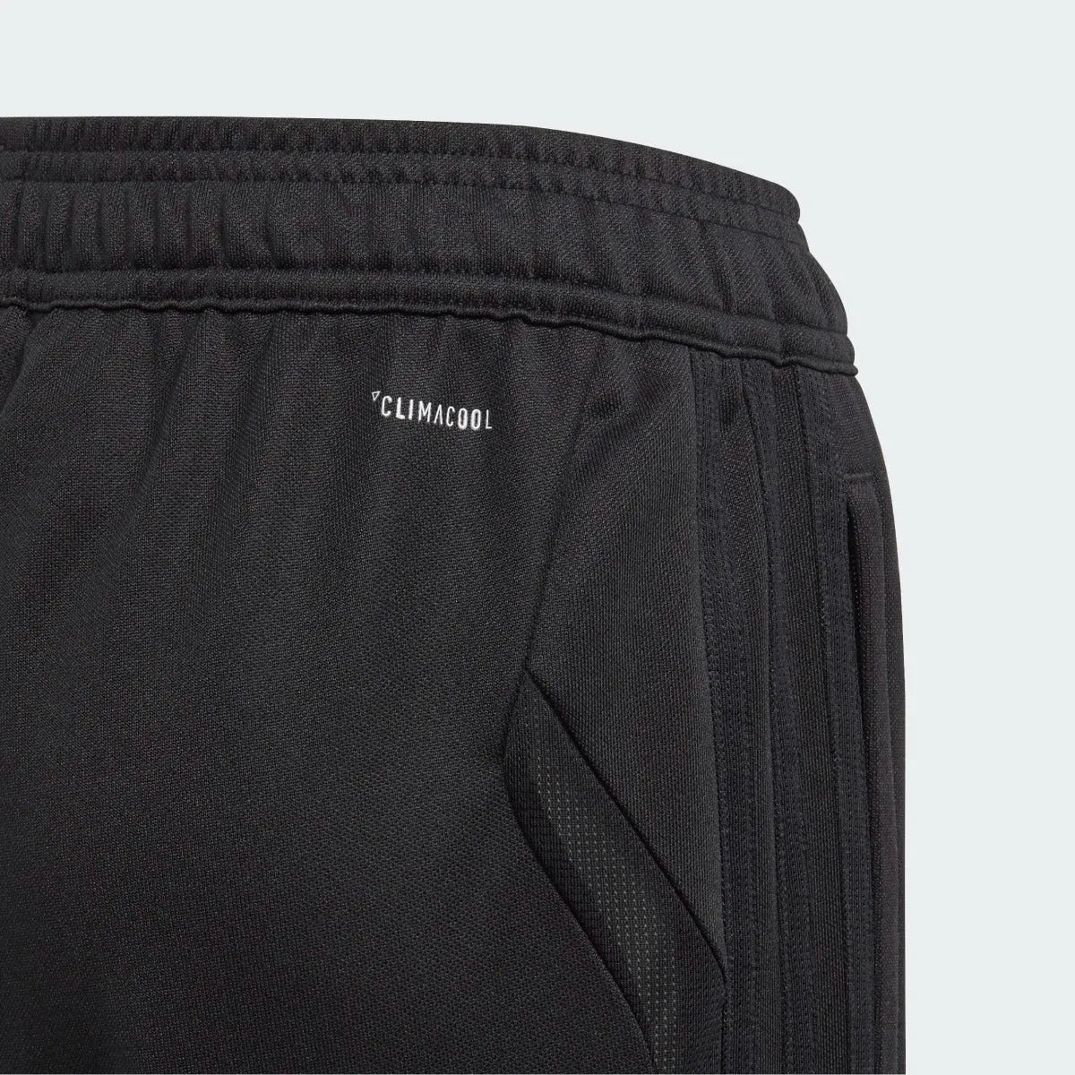 Adidas Tiro 19 Youth Pants - Black-Black