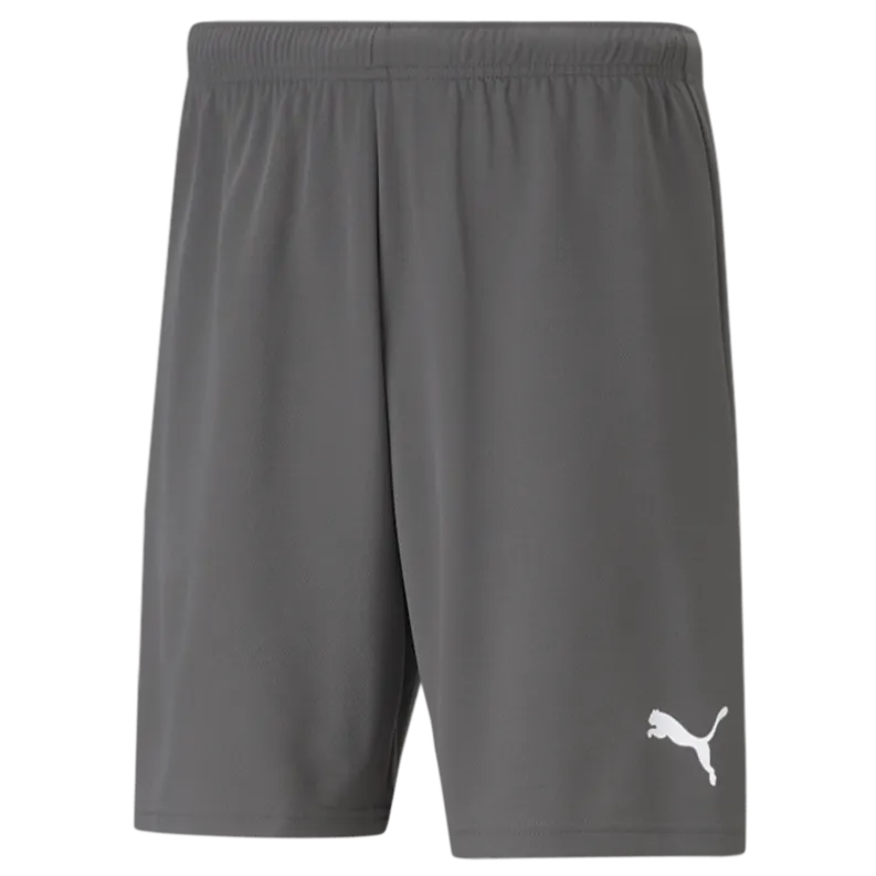 Puma Teamrise Short Gray (Front)